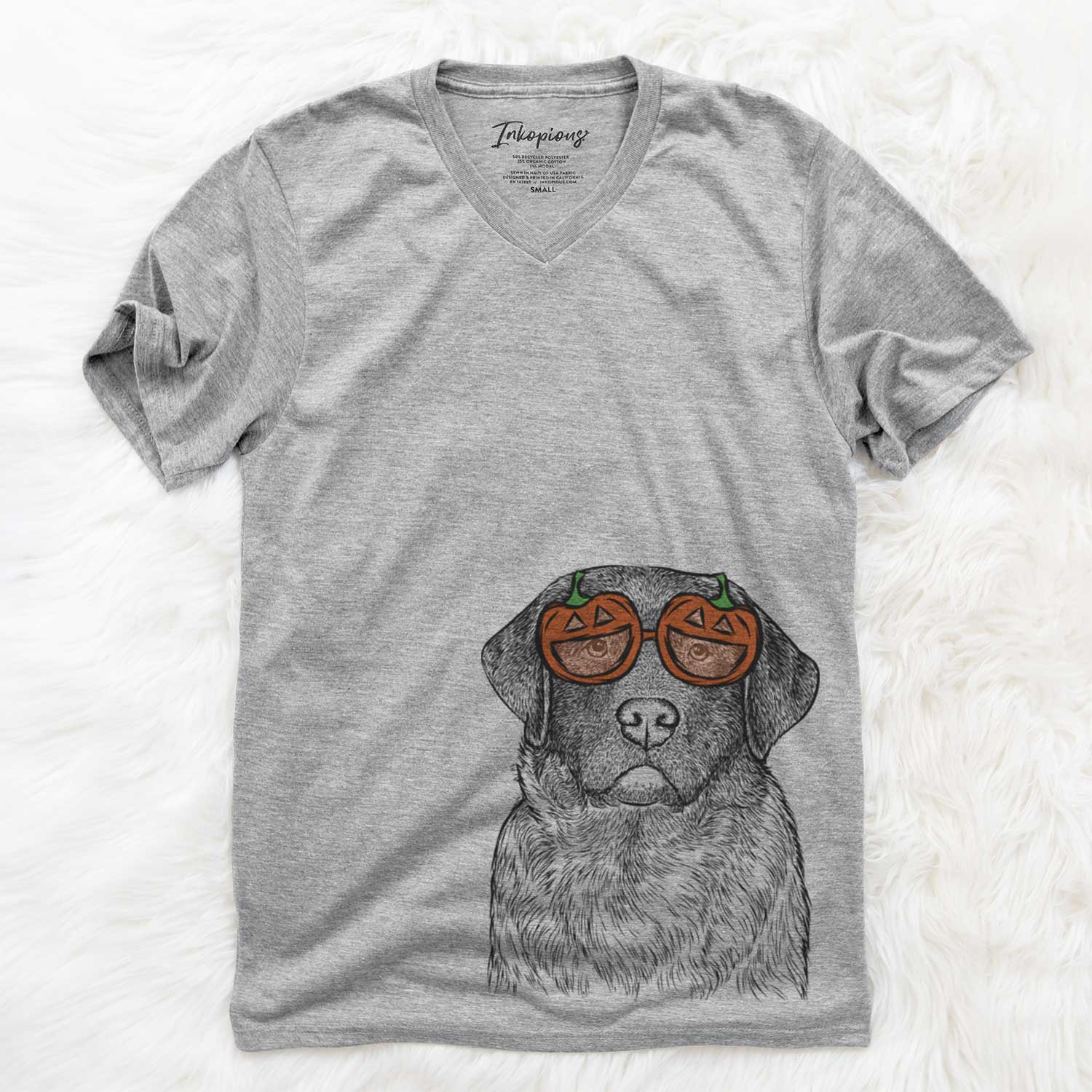 River the English Labrador Retriever - Pumpkin Collection