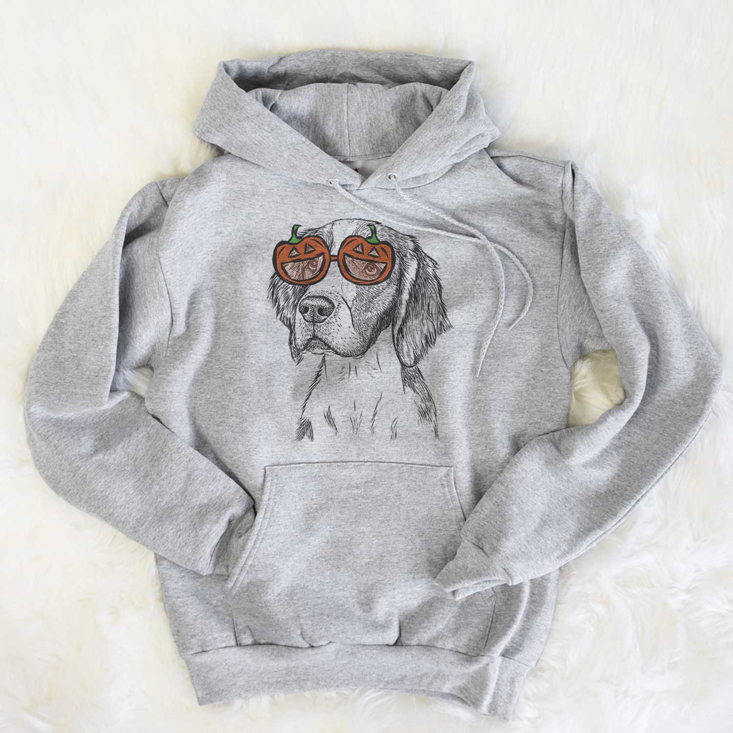 Roxy the Welsh Springer Spaniel - Pumpkin Collection