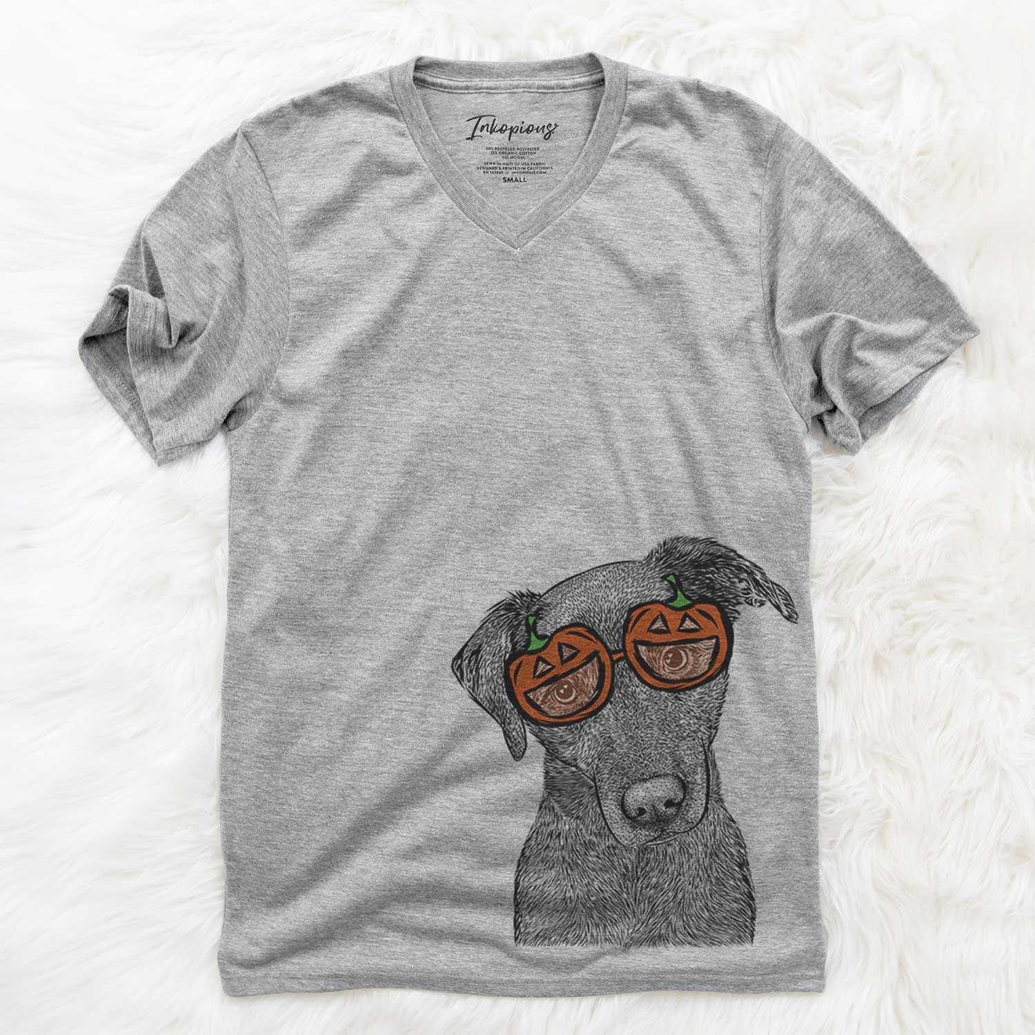 Sadie the Whipador - Pumpkin Collection