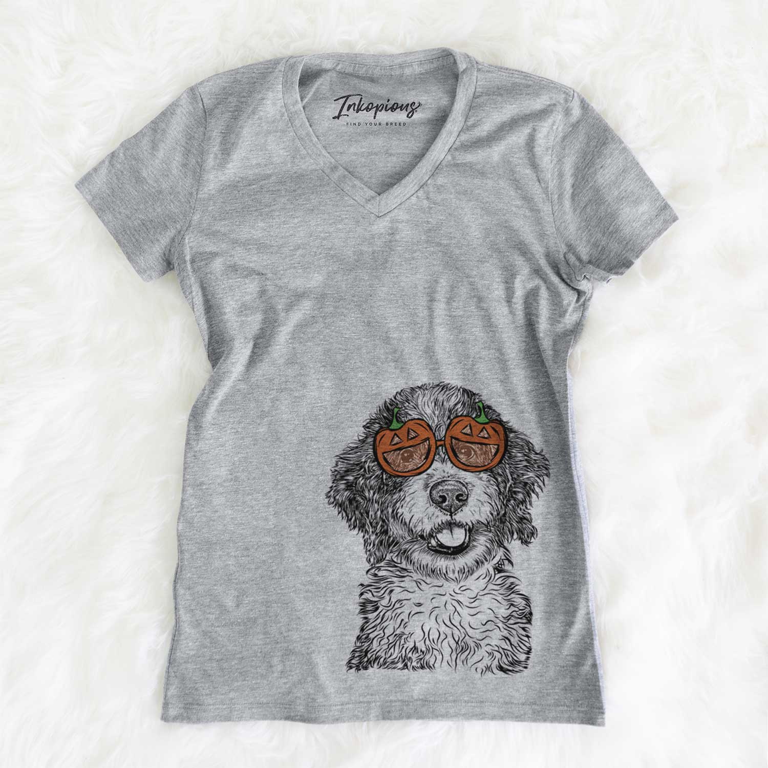 Smoky the Bernedoodle Puppy - Pumpkin Collection