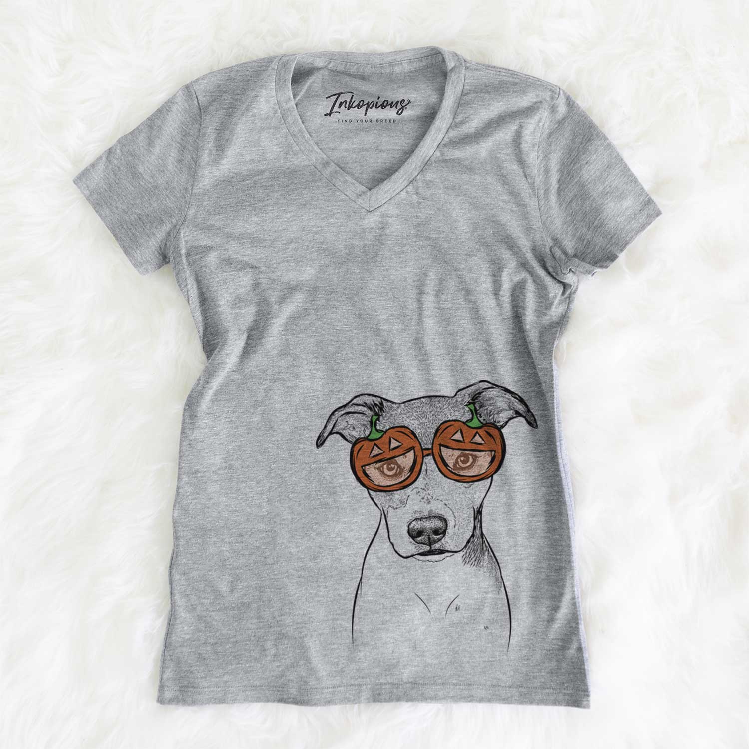 Tula the American Staffordshire Terrier Heeler Mix - Pumpkin Collection