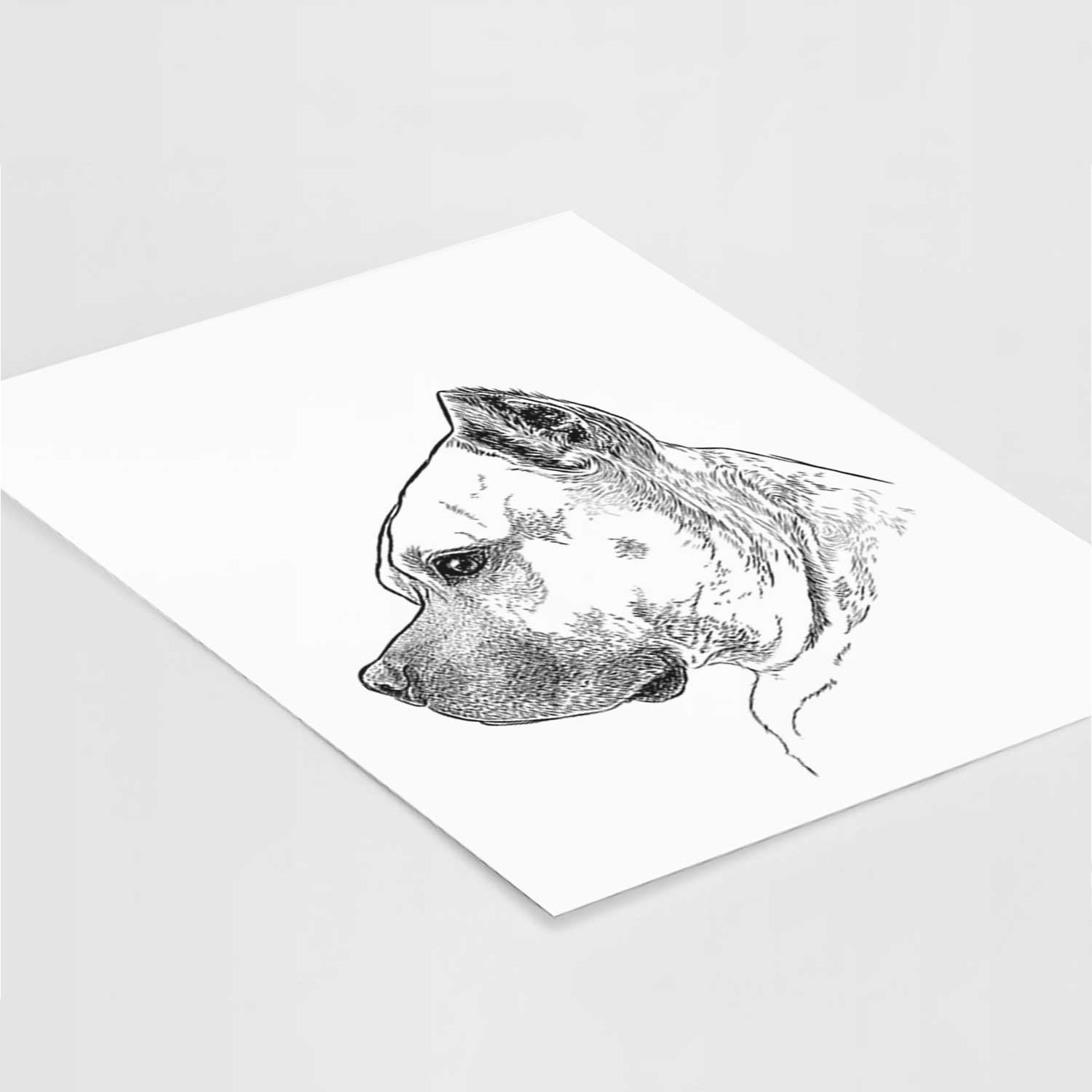 Profile Henry the American Staffordshire Terrier Art Print