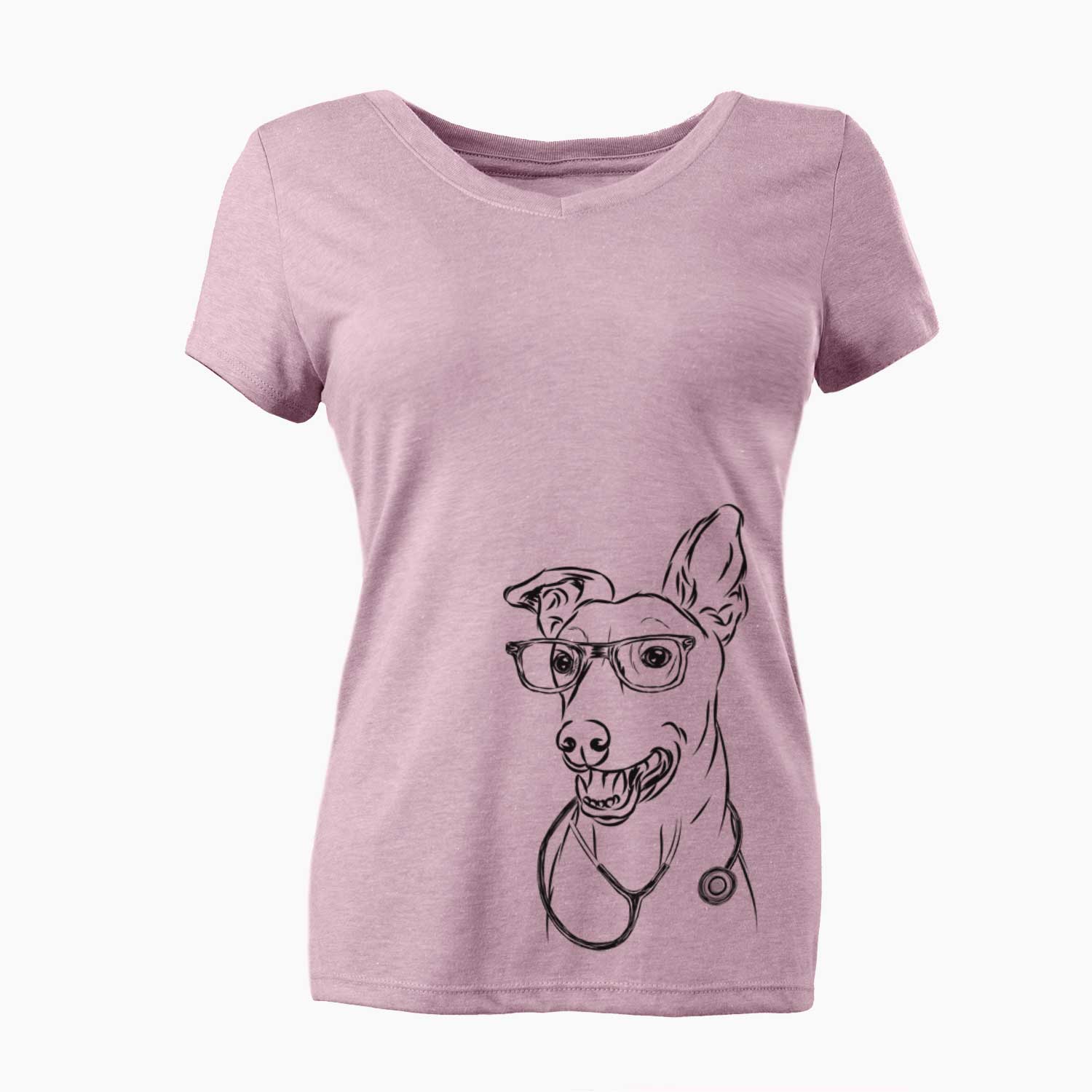 Frosty the Greyhound - Women's V-neck Shirt