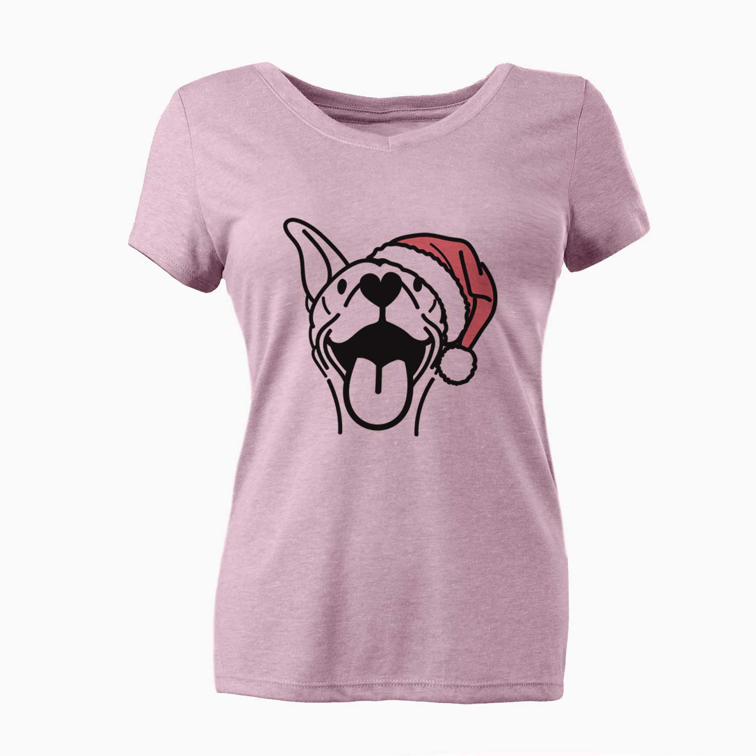 Jolly Basenji - Merlin - Women's V-neck Shirt