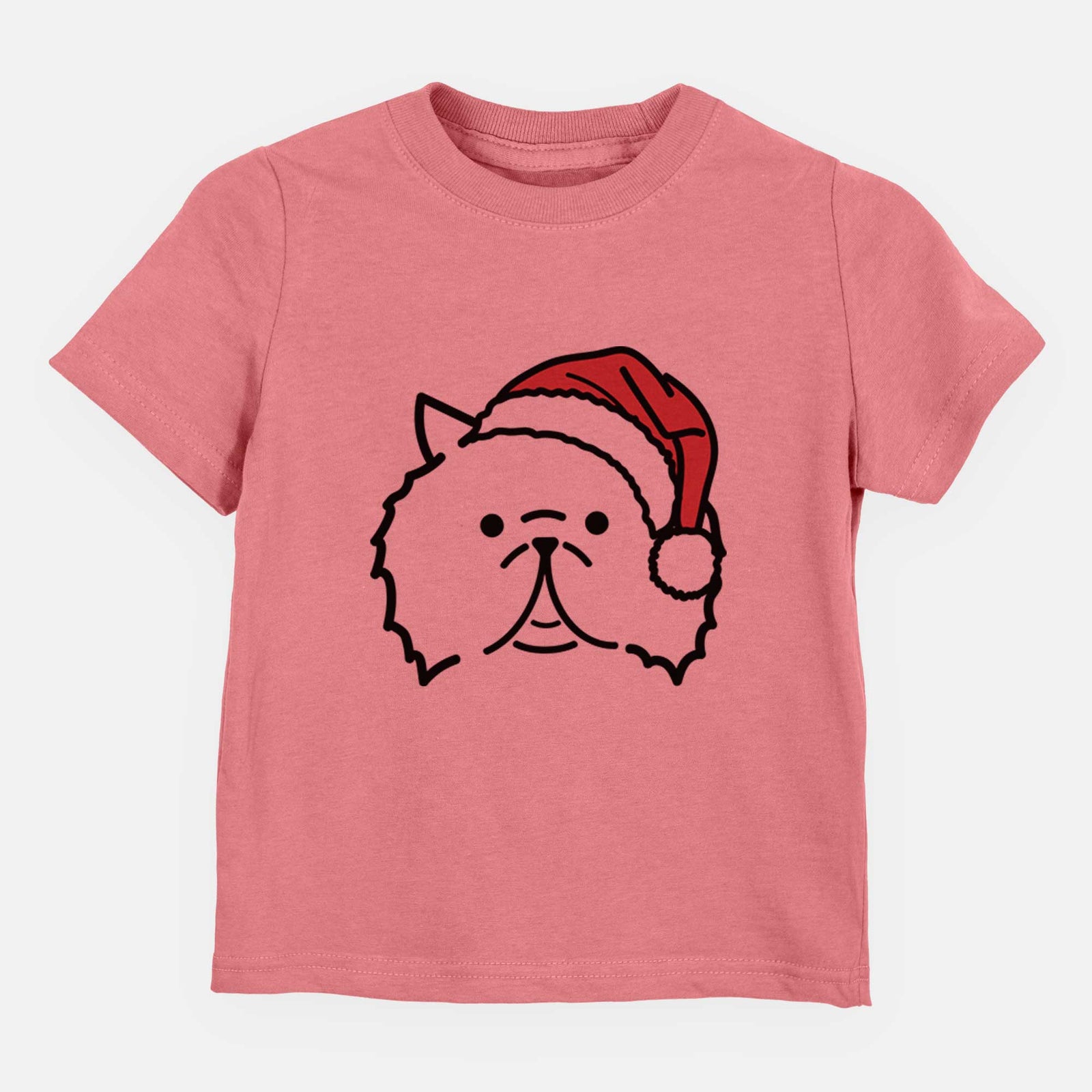 Jolly Persian Cat - Smoosh - Kids/Youth/Toddler Shirt