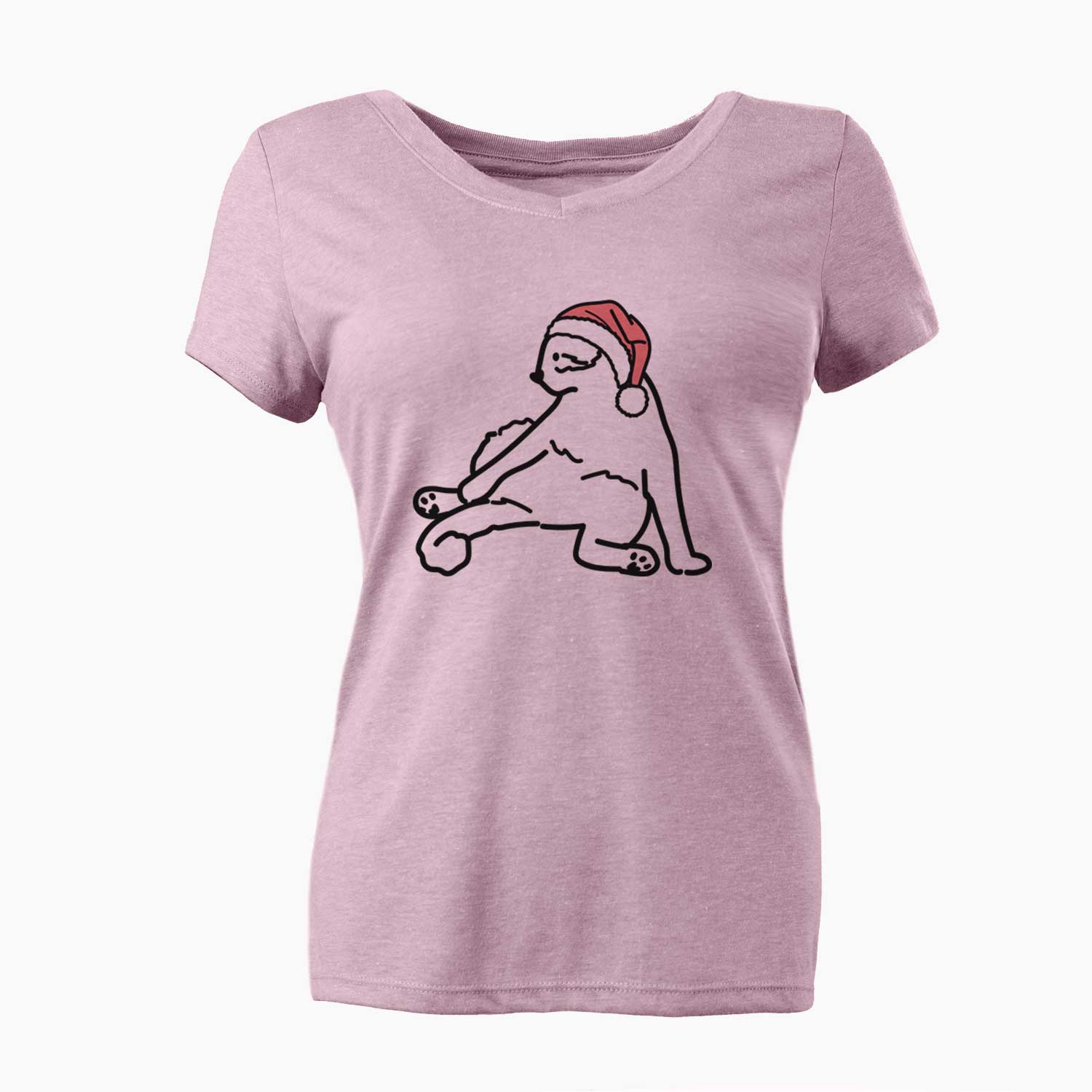 Jolly Cat - Tom - Women's V-neck Shirt