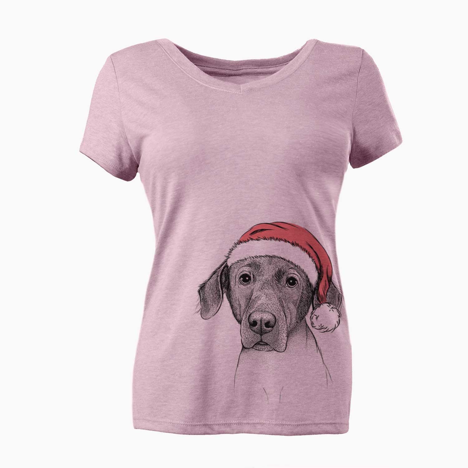 Santa Baldwin the Mixed Breed - Women's V-neck Shirt