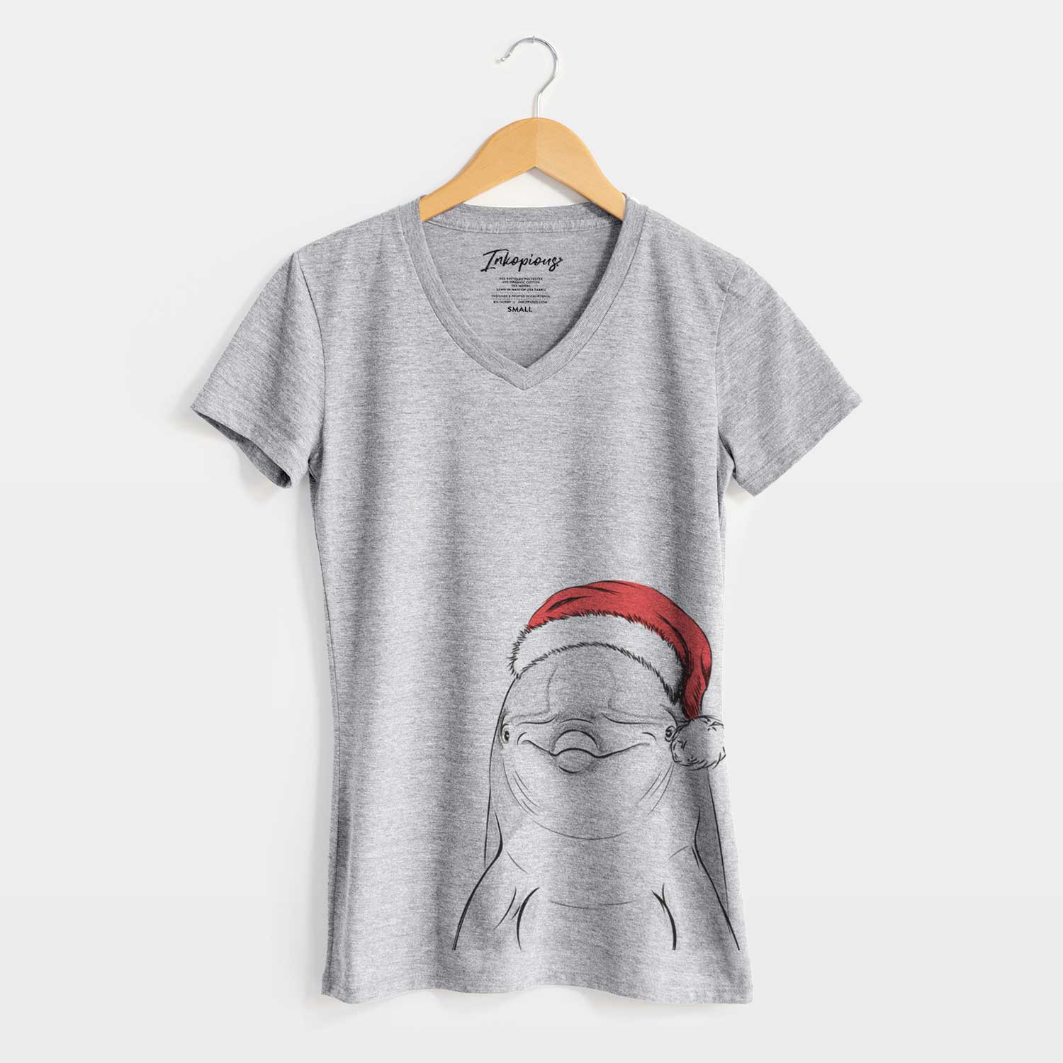 Santa Dave the Dolphin - Women's V-neck Shirt