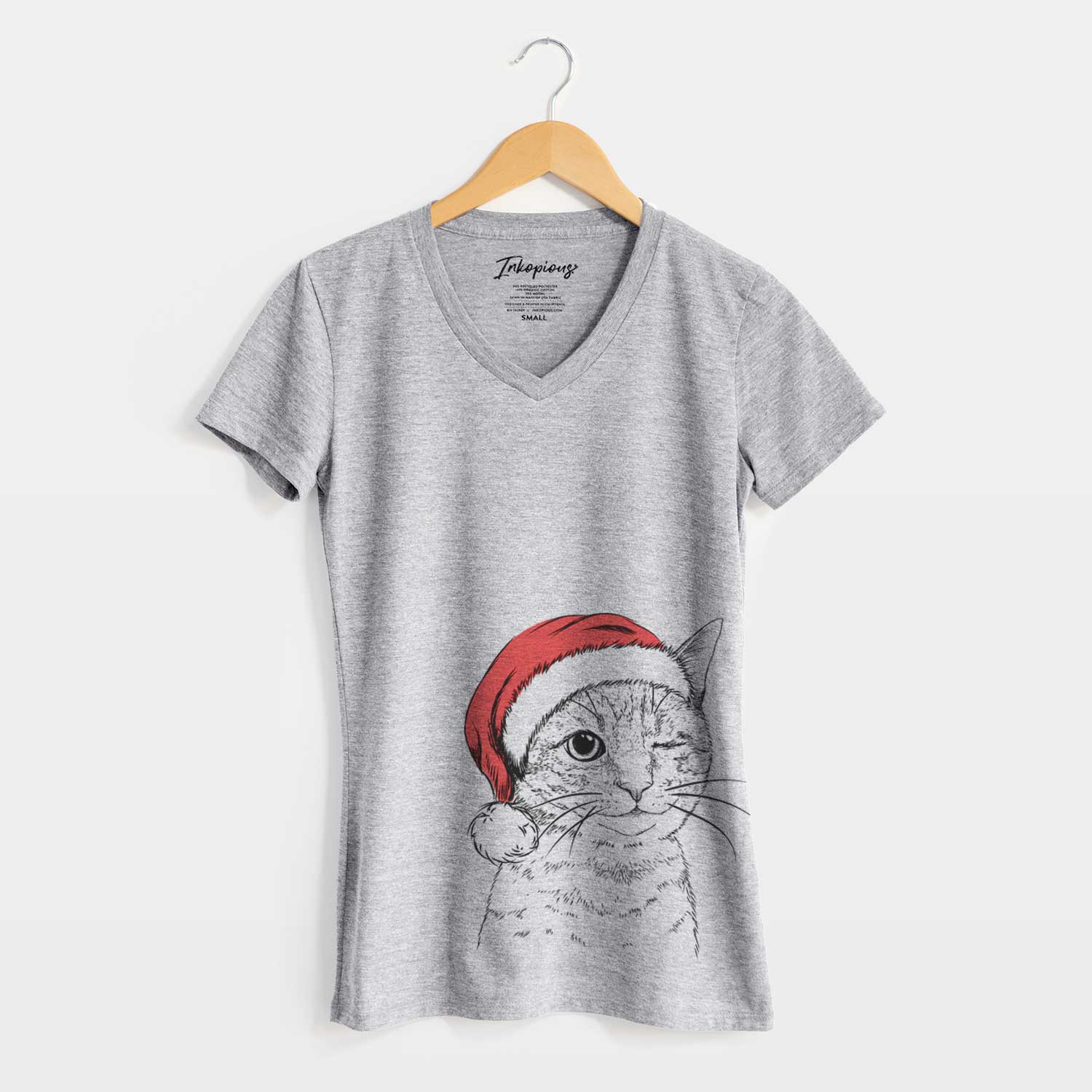 Santa Dexter the Domestic Shorthair - Women's V-neck Shirt