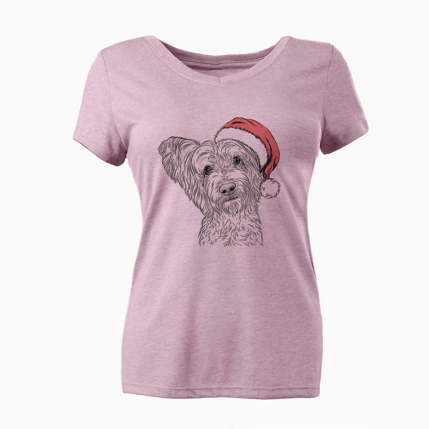 Santa Dexter the Terrier Mix - Women's V-neck Shirt