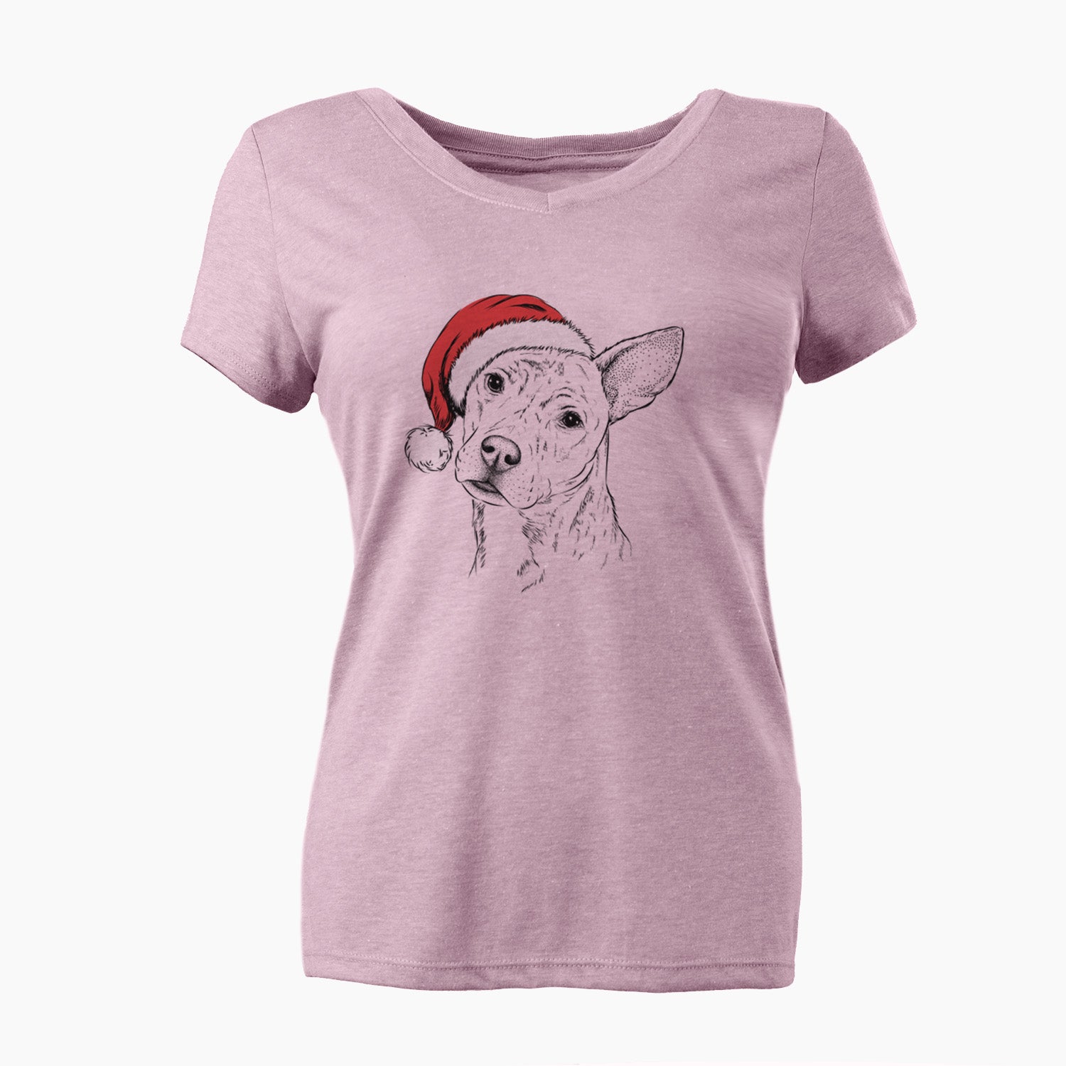 Santa Diesel the Mixed Breed - Women's Perfect V-neck Shirt