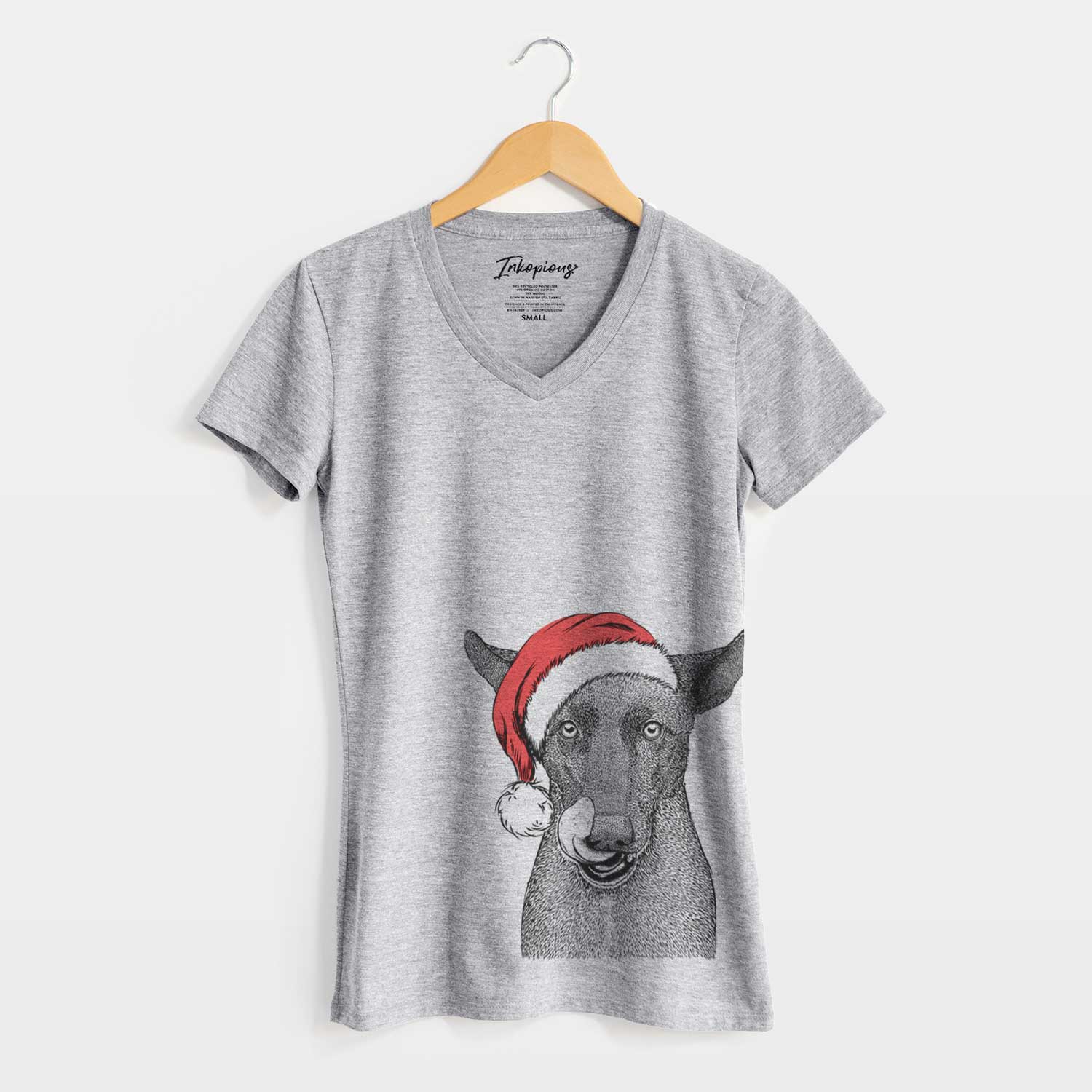Santa Gidget the Mexican Street Dog - Women's V-neck Shirt