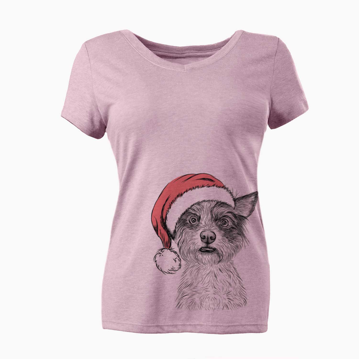 Santa Quigley the Mixed Breed - Women's V-neck Shirt