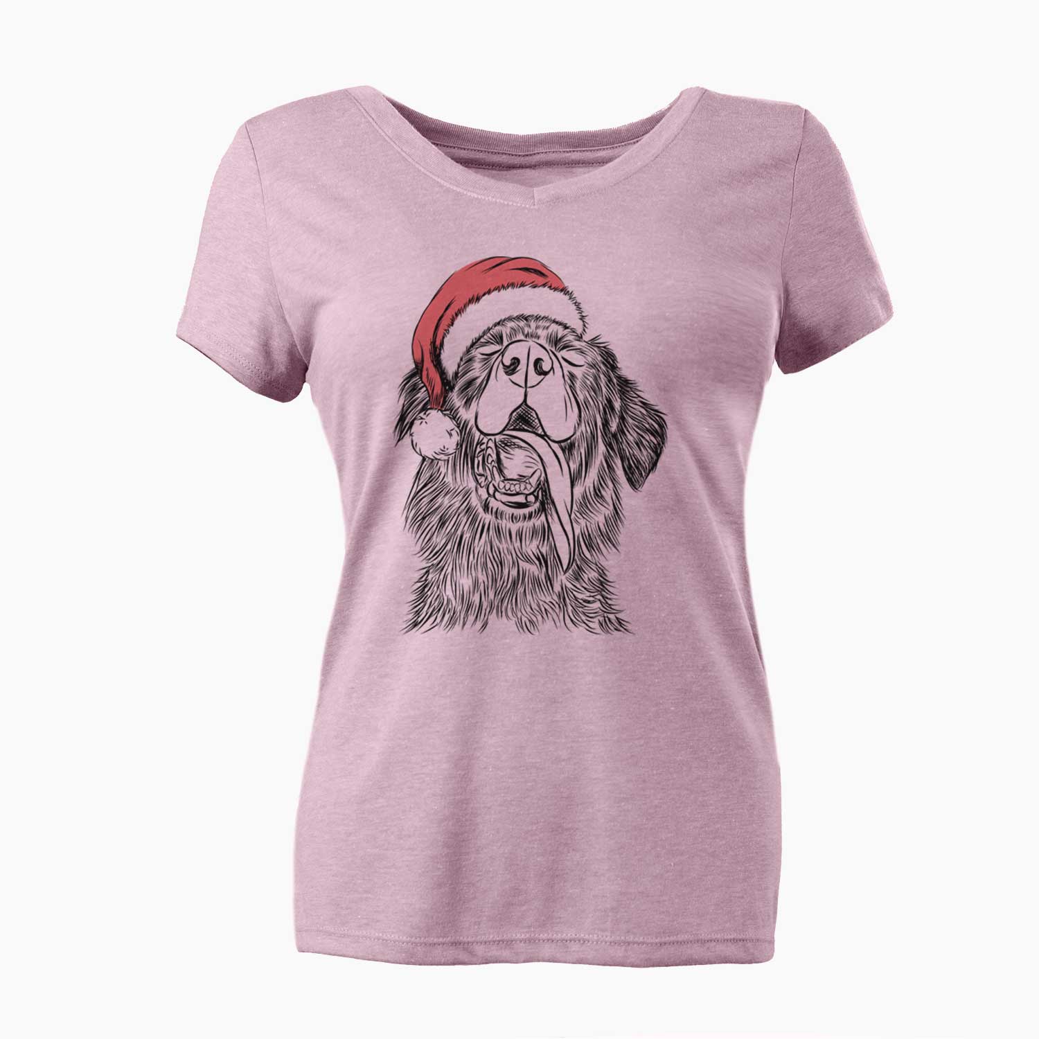 Santa Quint the Mixed Breed - Women's V-neck Shirt