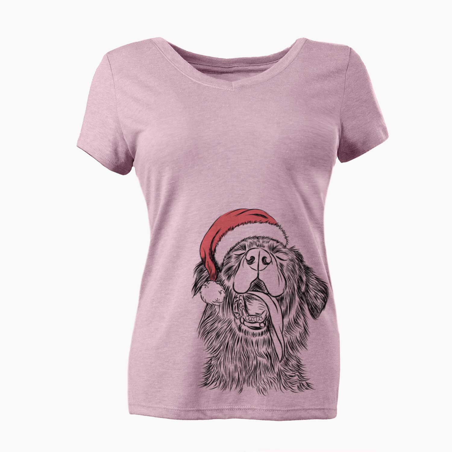 Santa Quint the Mixed Breed - Women's V-neck Shirt