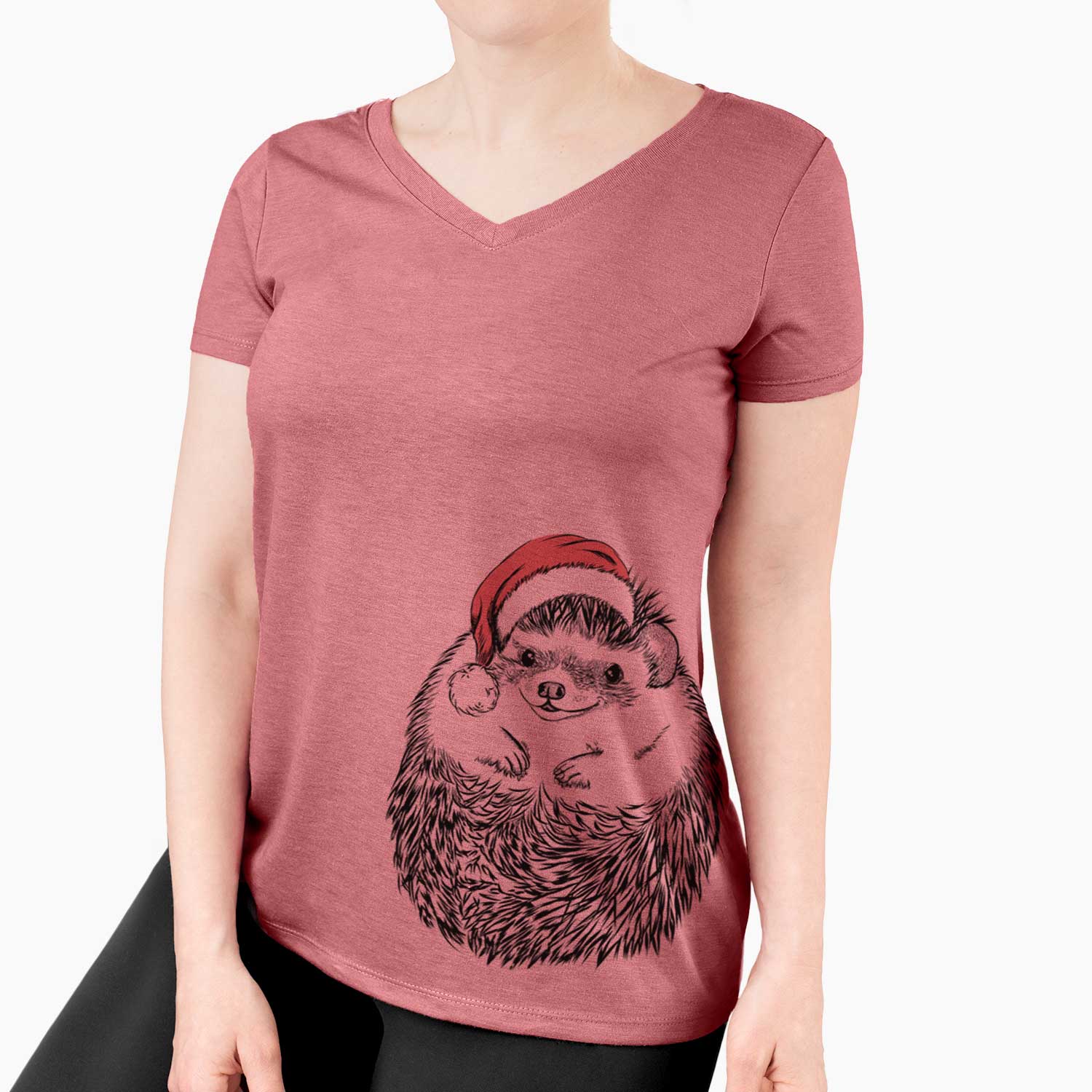 Santa Sid the Hedgehog - Women's V-neck Shirt