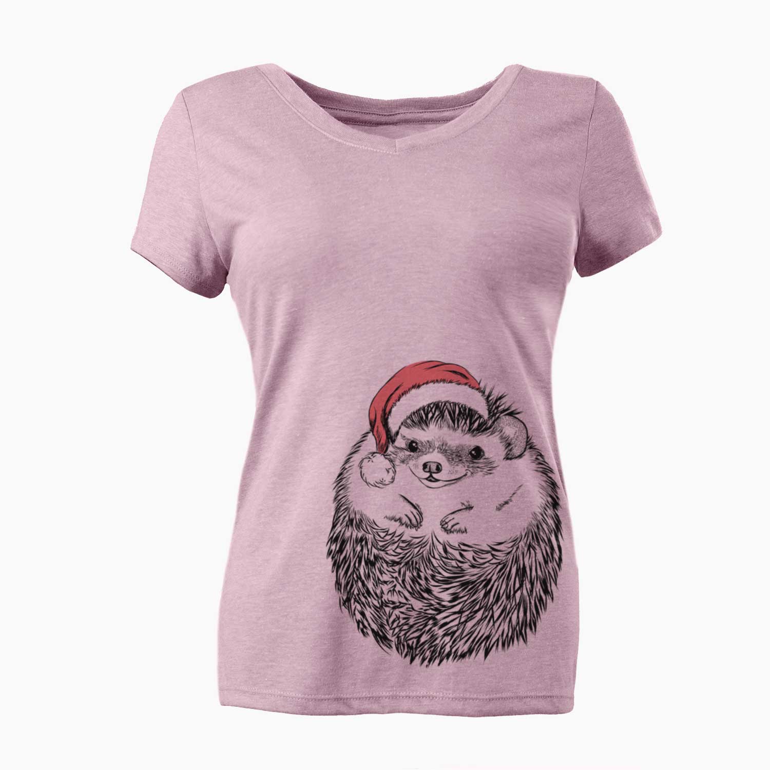 Santa Sid the Hedgehog - Women's V-neck Shirt