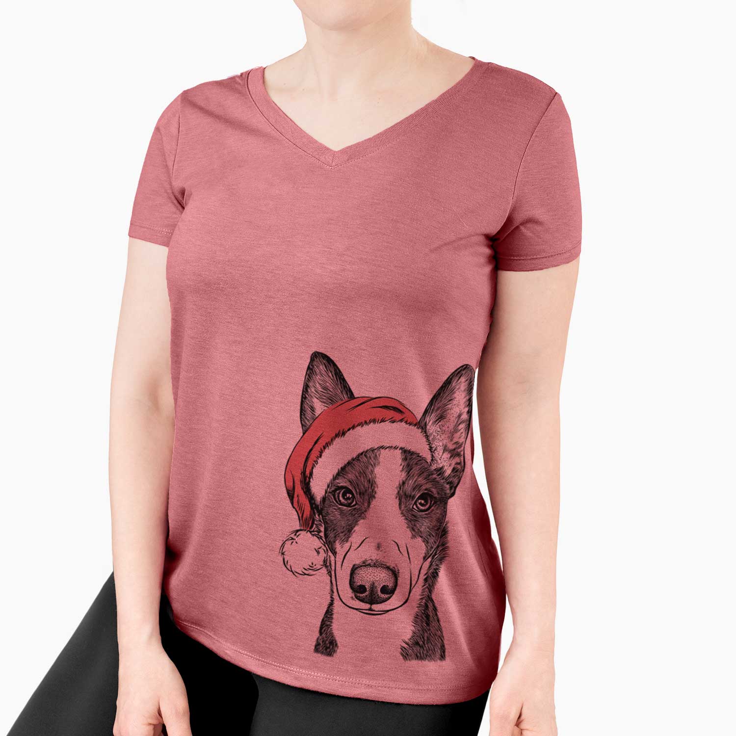 Santa Tigm the Bippet - Women's V-neck Shirt