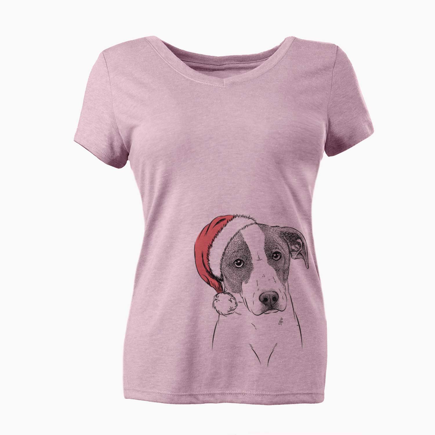 Santa Zephyr the Pointer Mix - Women's V-neck Shirt
