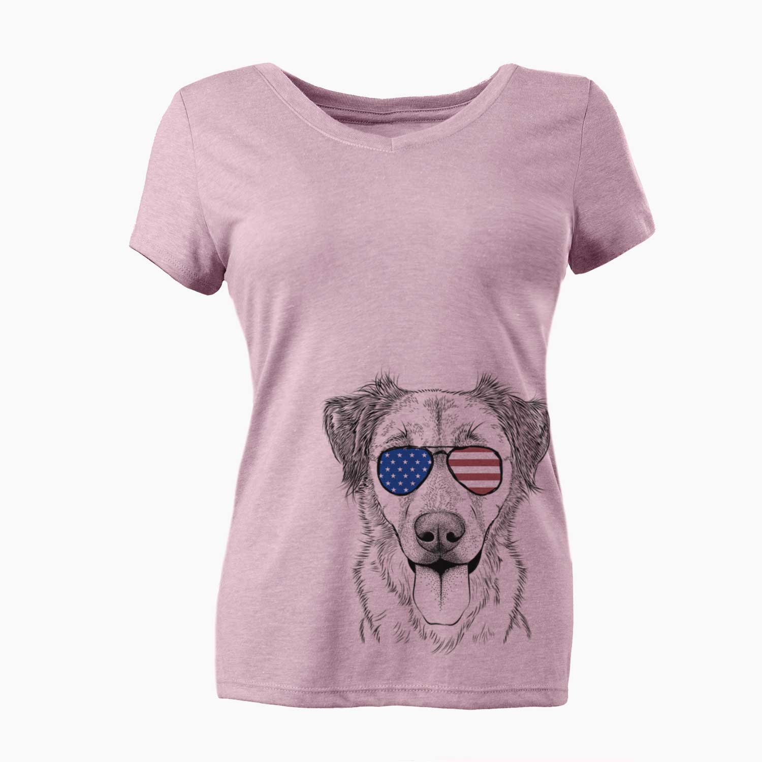 USA Apollo the Mixed Breed - Women's Perfect V-neck Shirt