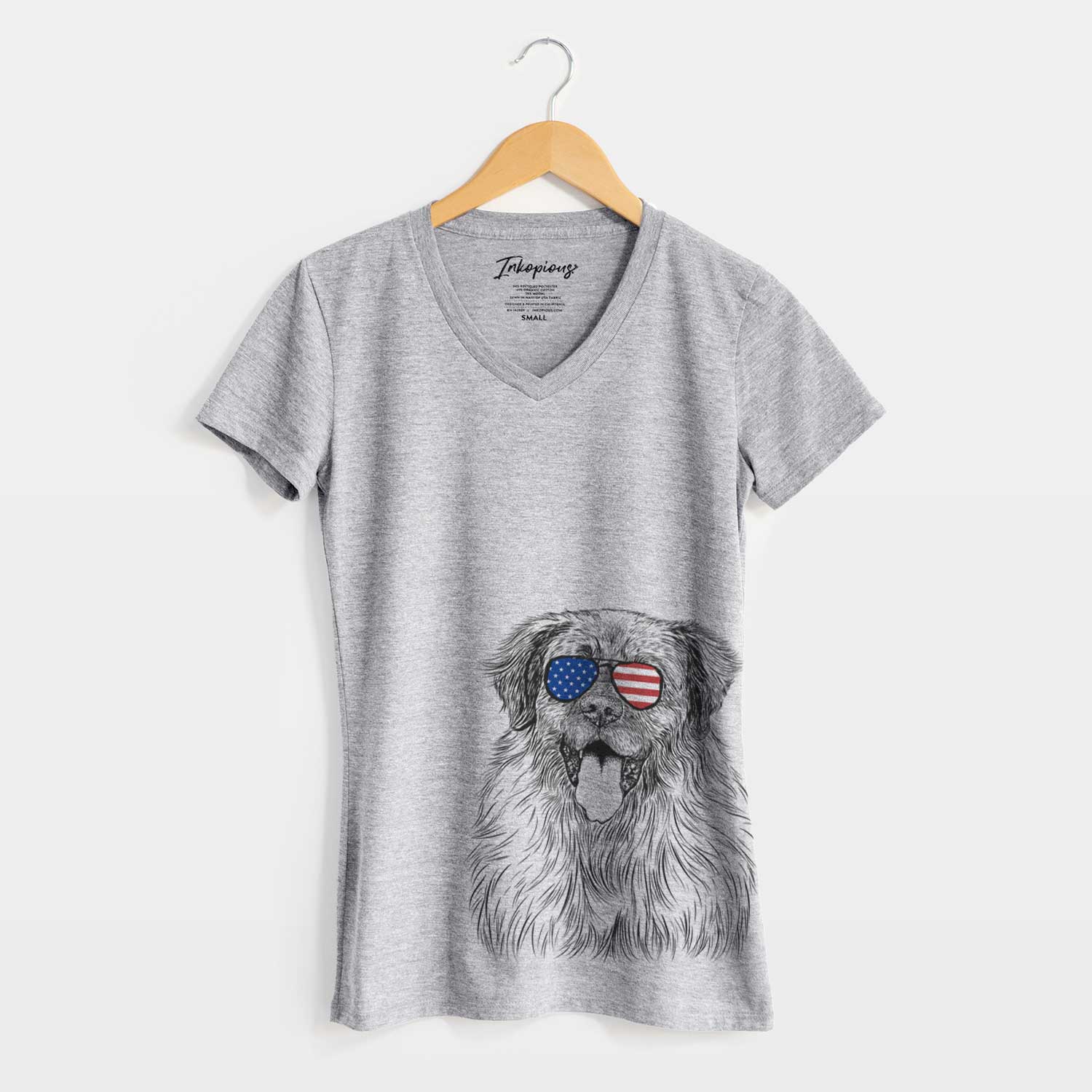 USA Bamboo the Leonberger - Women's Perfect V-neck Shirt