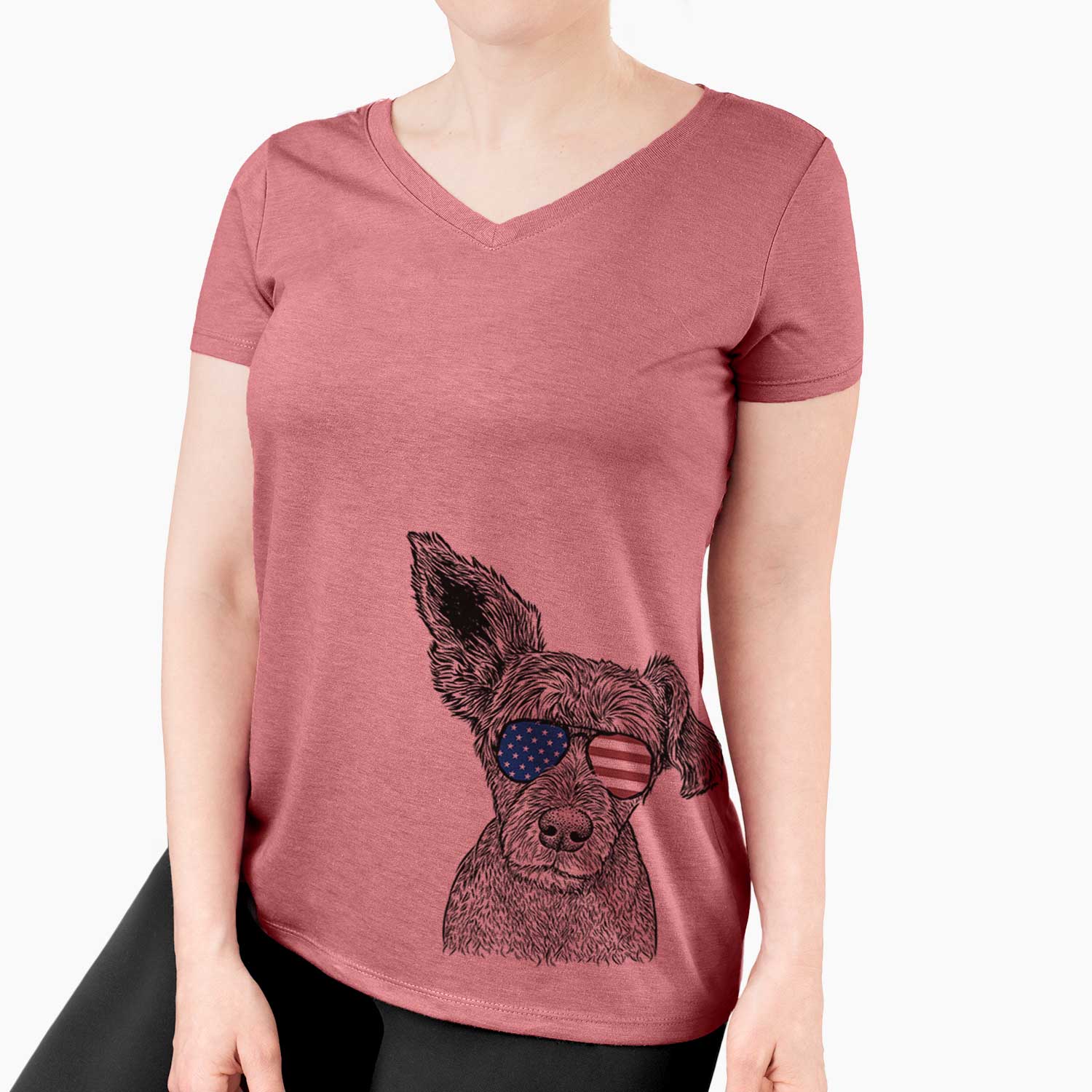 USA Boodles the Schnauzer Mix - Women's Perfect V-neck Shirt