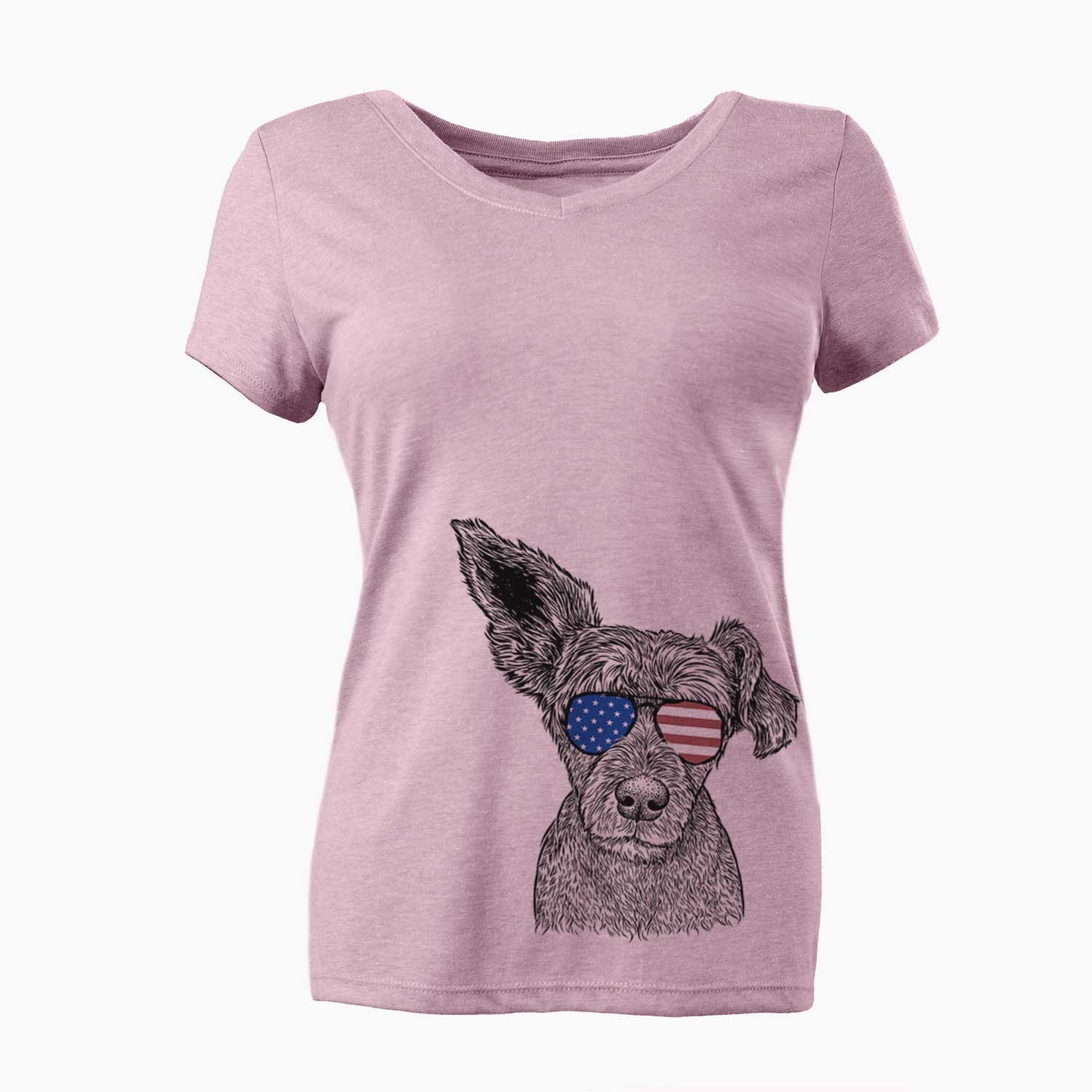 USA Boodles the Schnauzer Mix - Women's Perfect V-neck Shirt