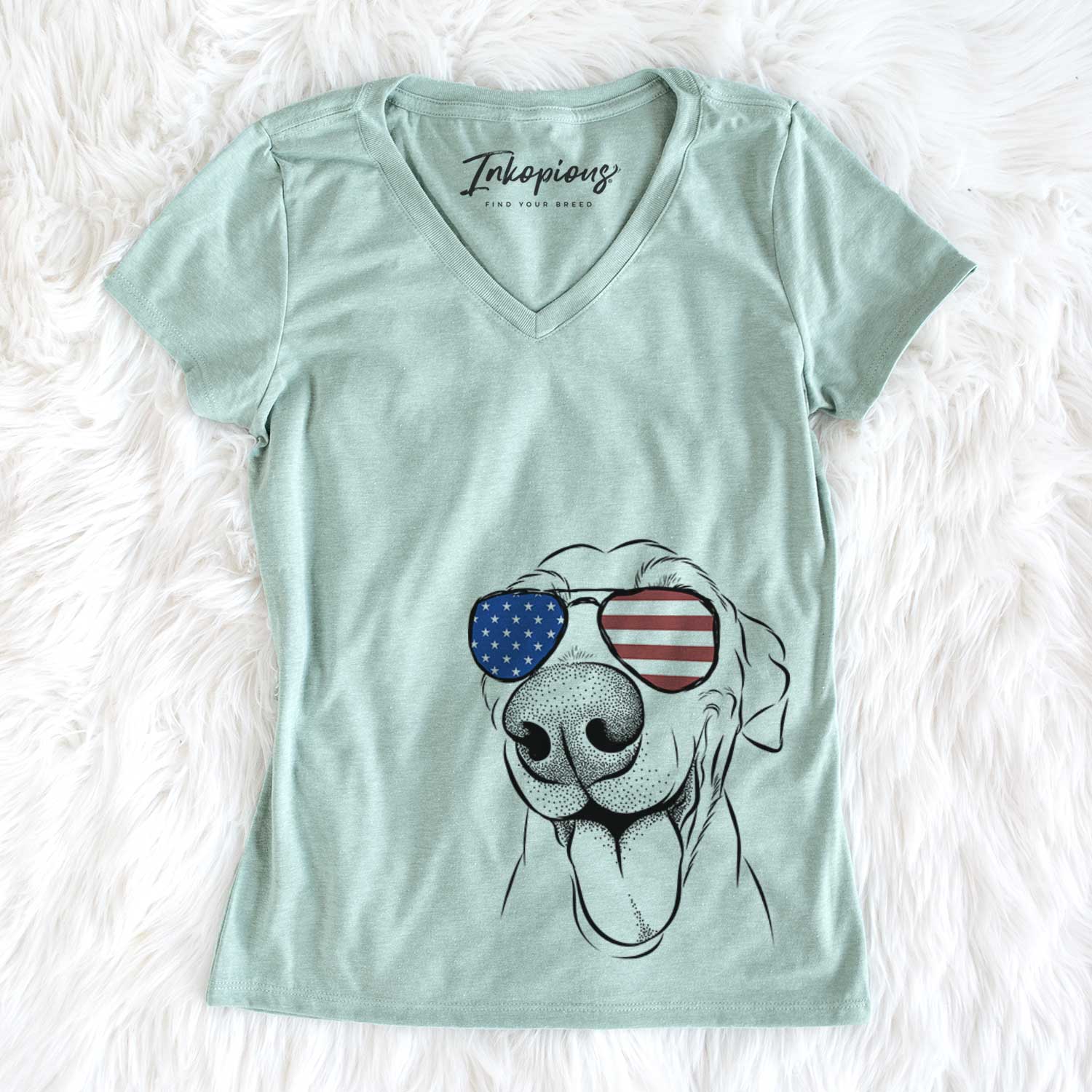 USA Buddy the Buddy the Sato / American Village Dog - Women's Perfect V-neck Shirt