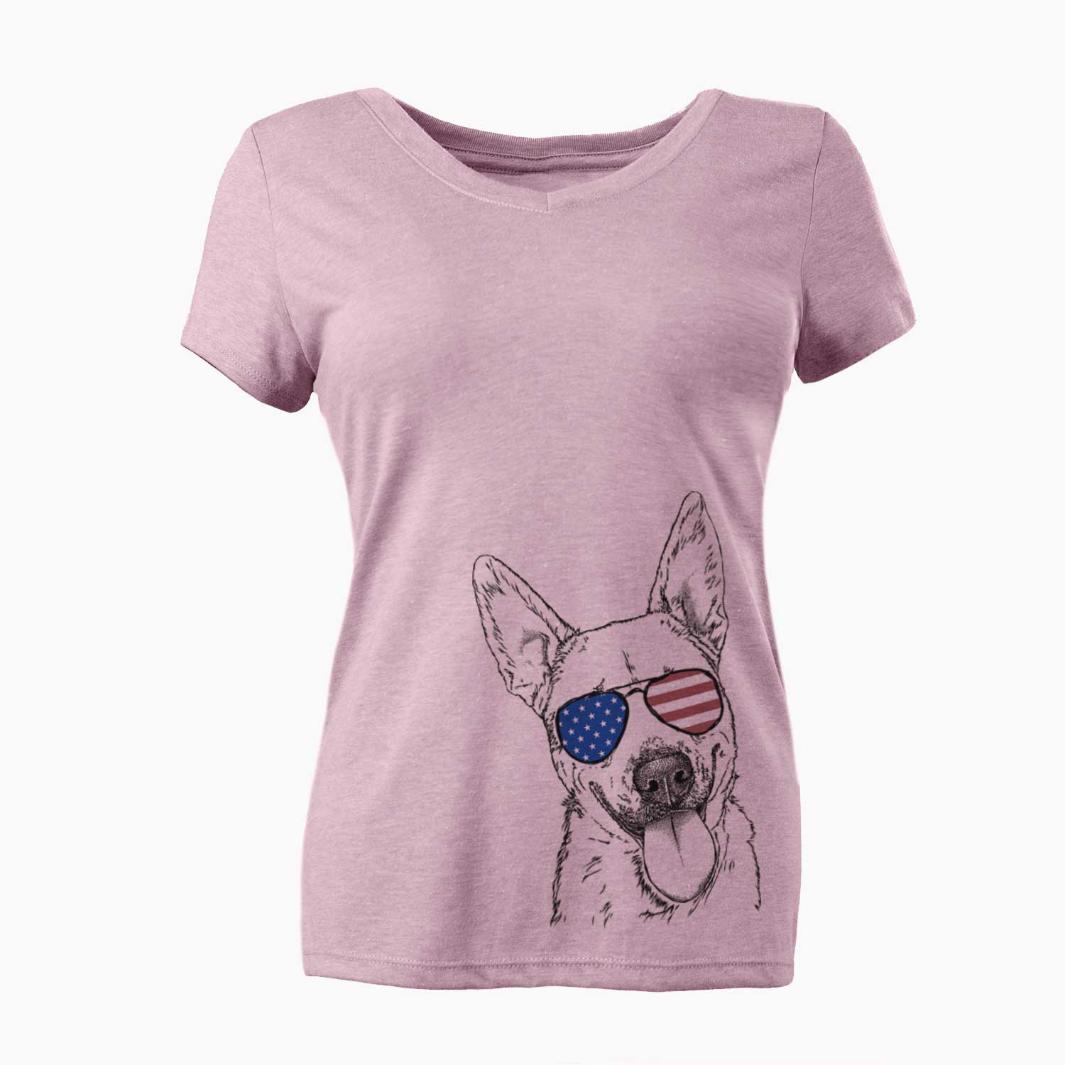 USA Charlie the Mixed Breed - Women's Perfect V-neck Shirt
