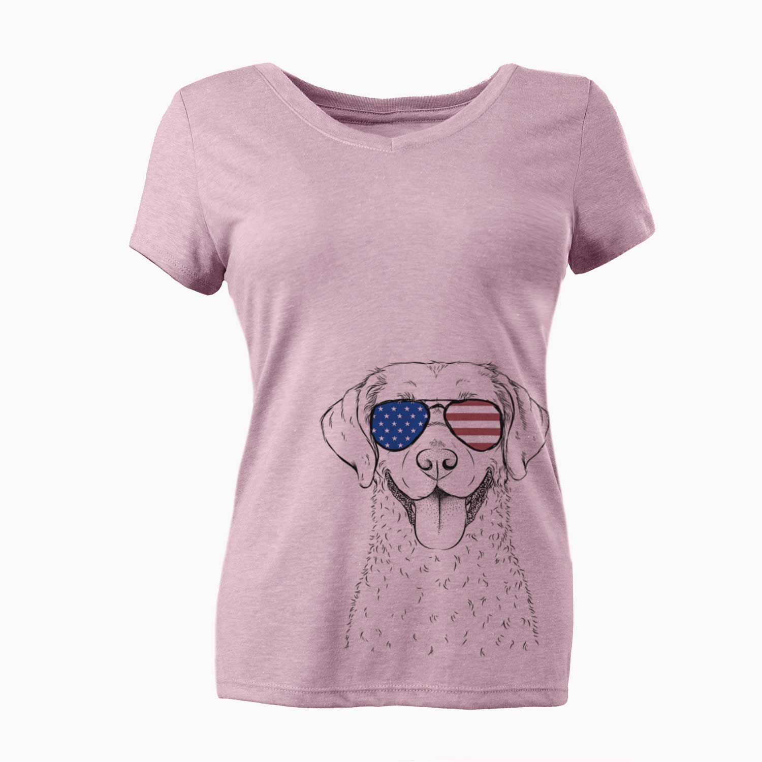 USA Chip the Chesapeake Bay Retriever - Women's Perfect V-neck Shirt