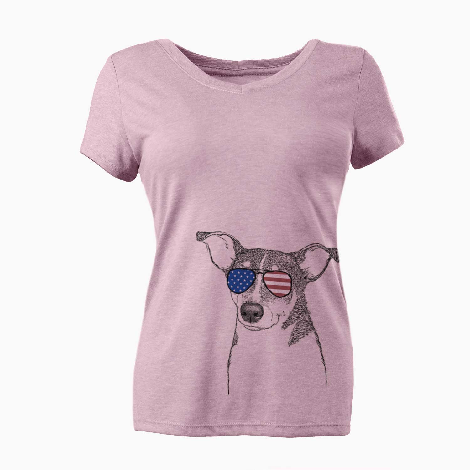 USA Cleo the Terrier Mix - Women's Perfect V-neck Shirt