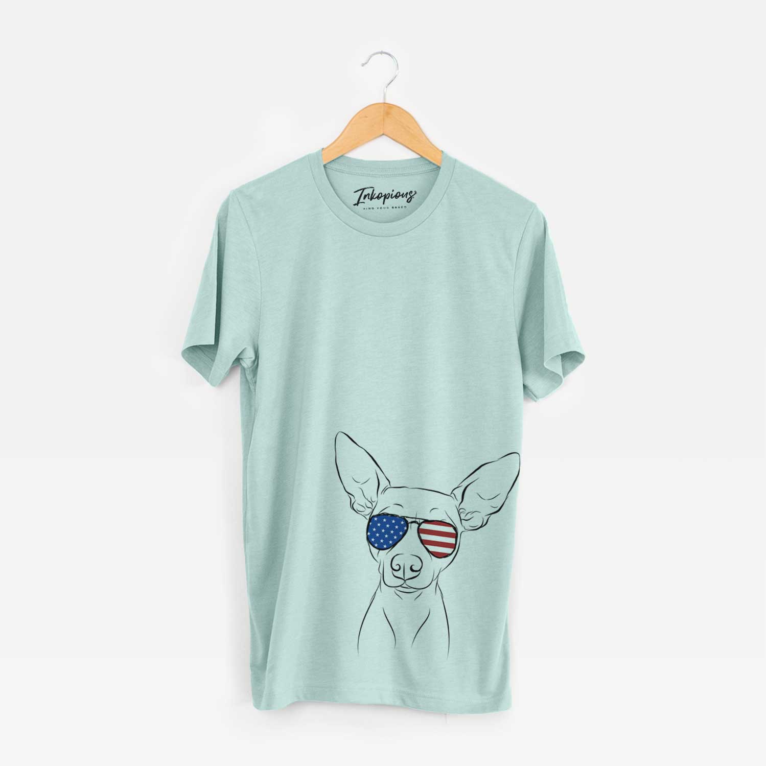 Hand-drawn sketch of Desi the American Hairless Terrier wearing American flag sunglasses on a Heather Sage Unisex crewneck