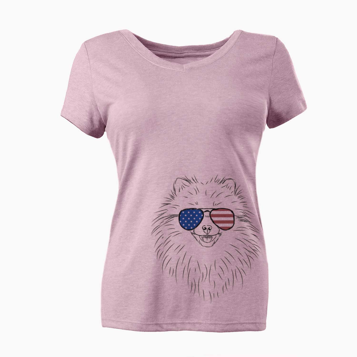 USA Finn the Pomeranian - Women's Perfect V-neck Shirt