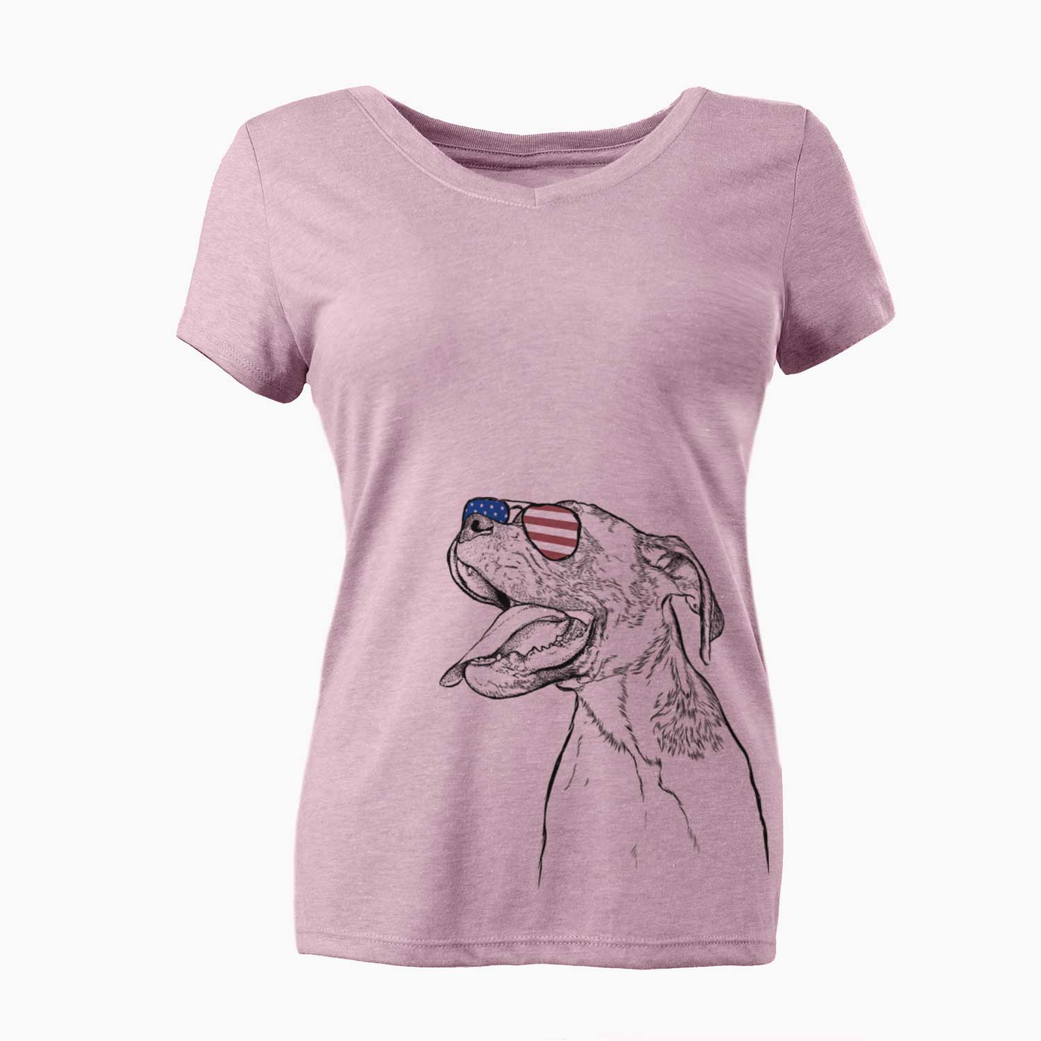 USA Floyd the Boxer - Women's Perfect V-neck Shirt