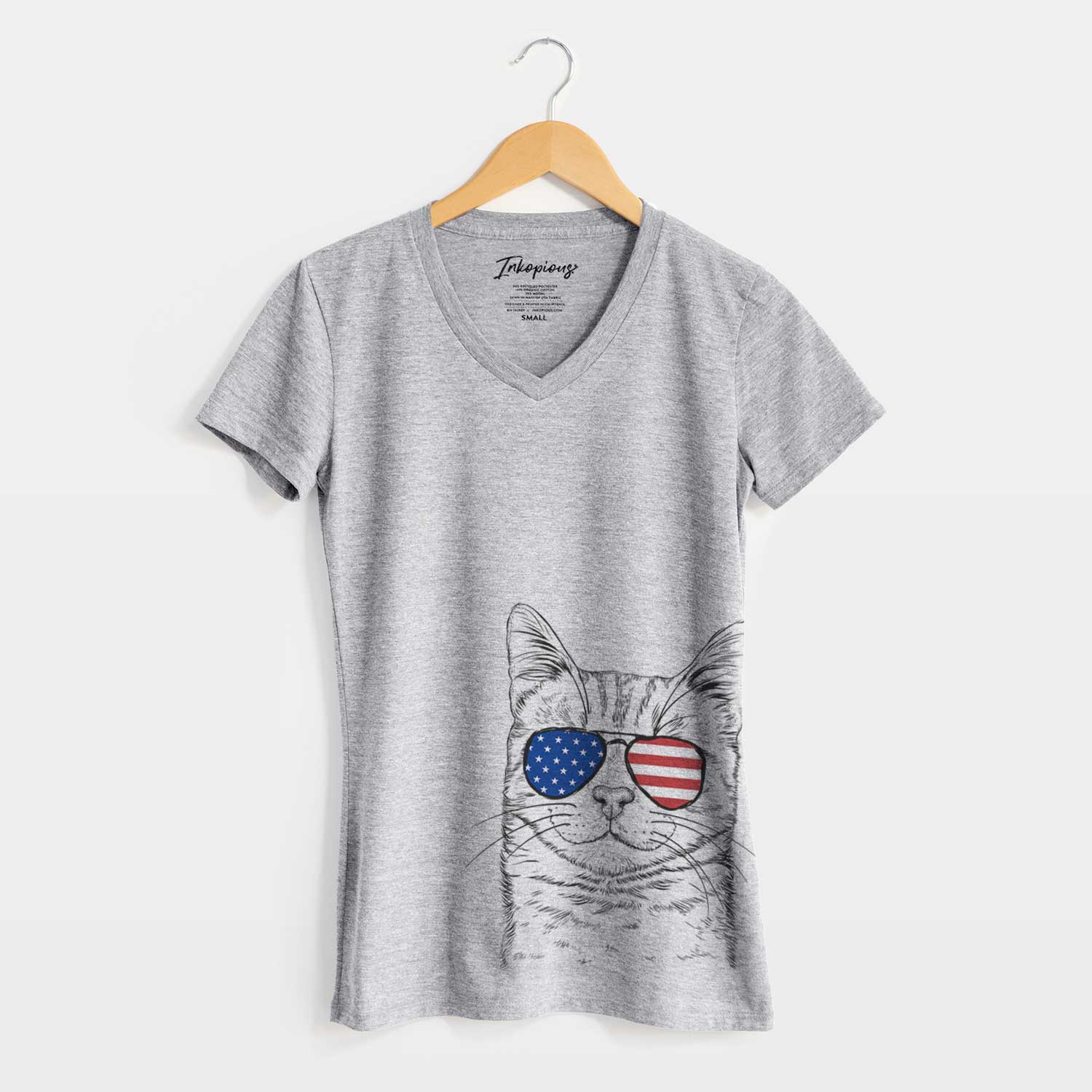 USA Ginger Tom the Tabby Cat - Women's Perfect V-neck Shirt