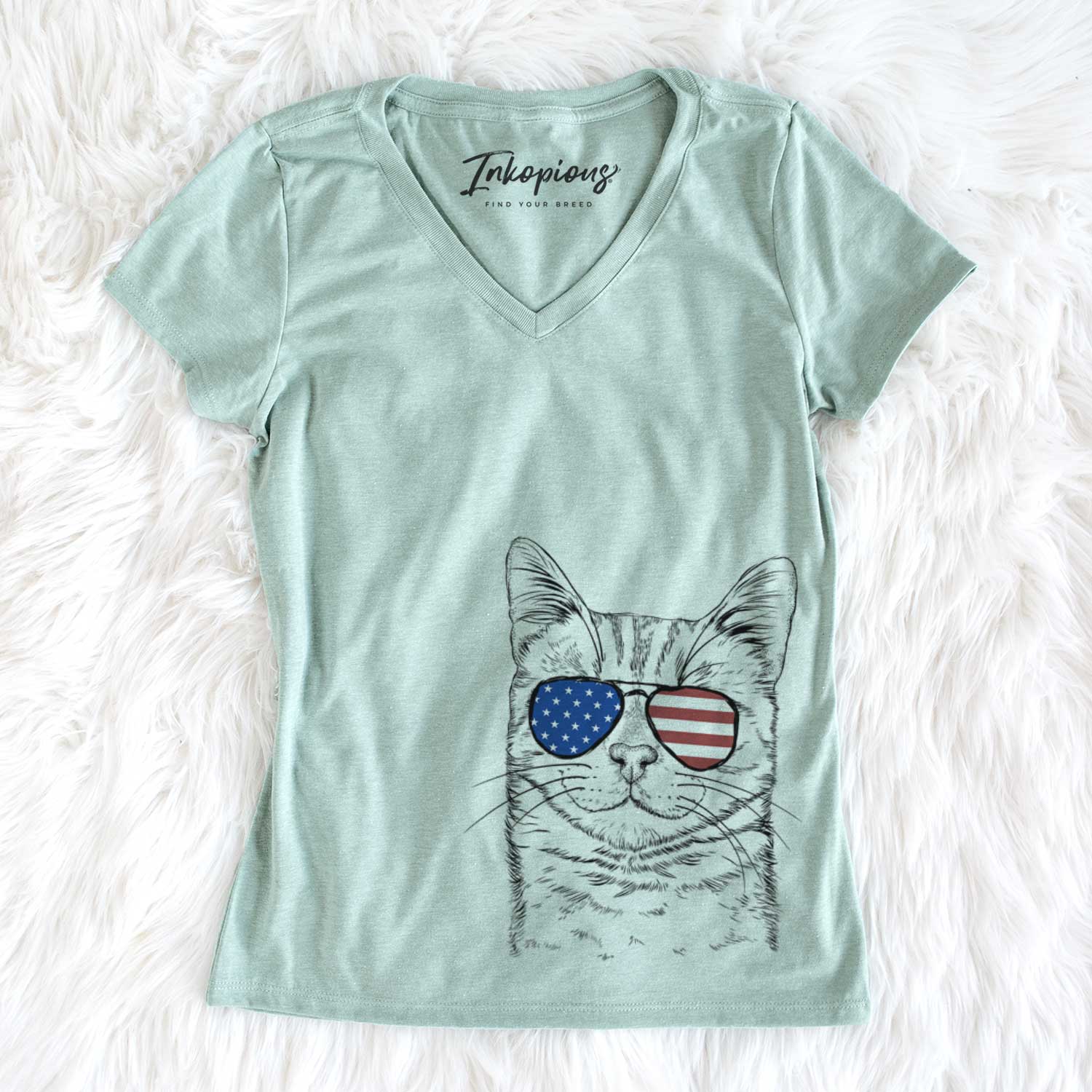 USA Ginger Tom the Tabby Cat - Women's Perfect V-neck Shirt