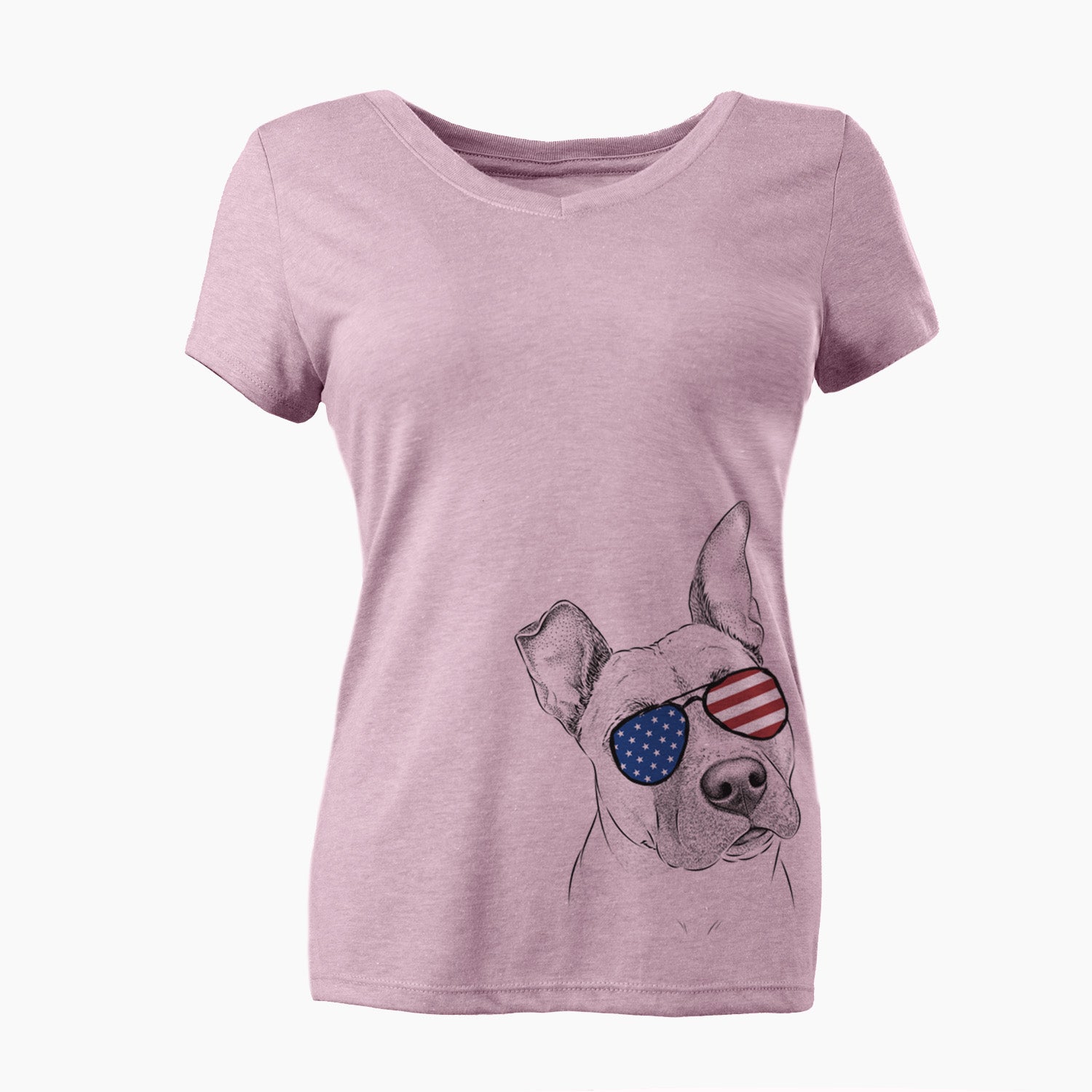 USA Ivy the Pitbull Mix - Women's Perfect V-neck Shirt