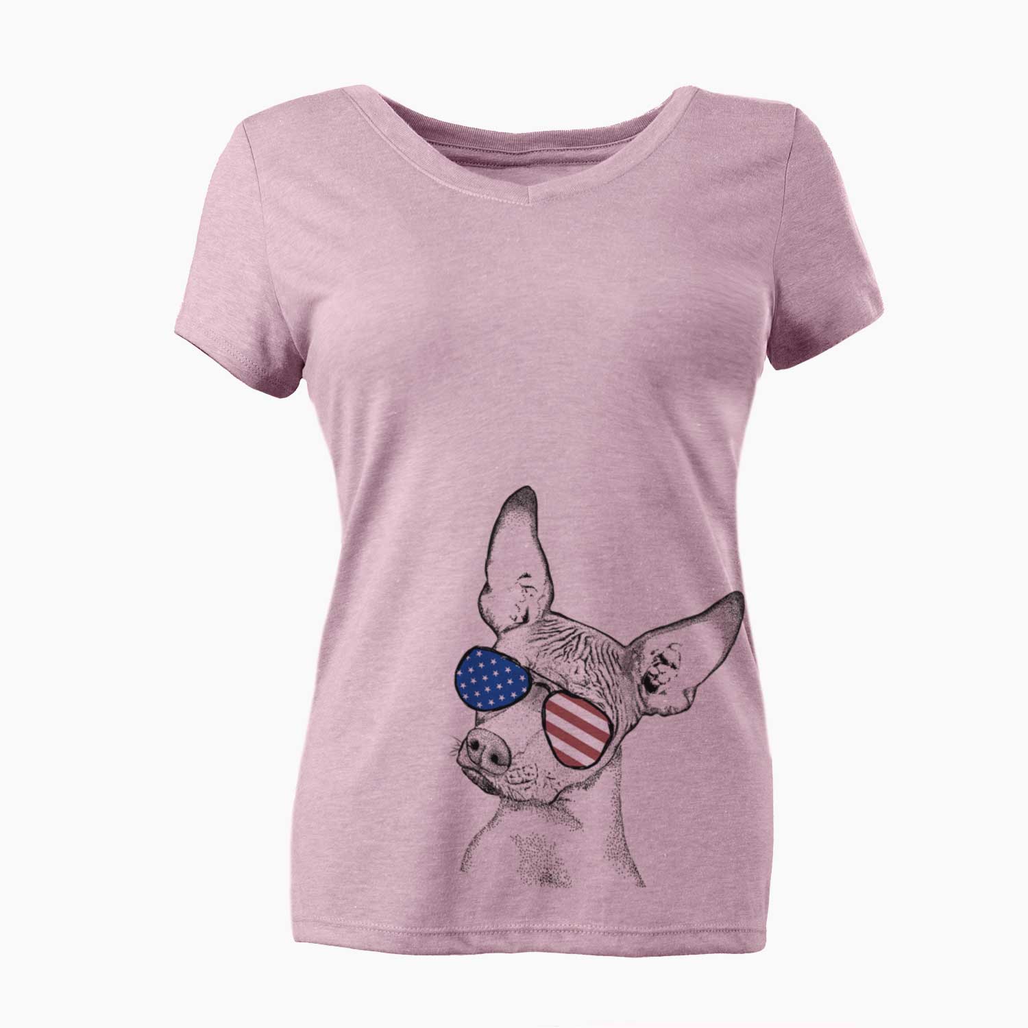 USA Kahlo the Xoloitzcuintli - Women's Perfect V-neck Shirt