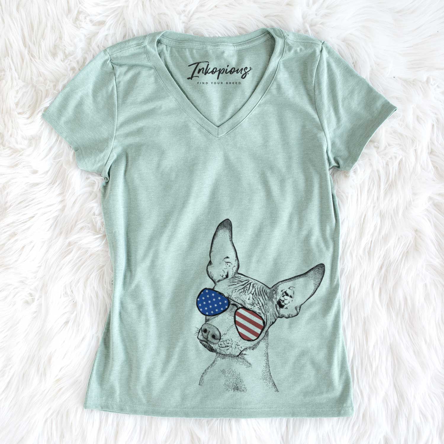 USA Kahlo the Xoloitzcuintli - Women's Perfect V-neck Shirt