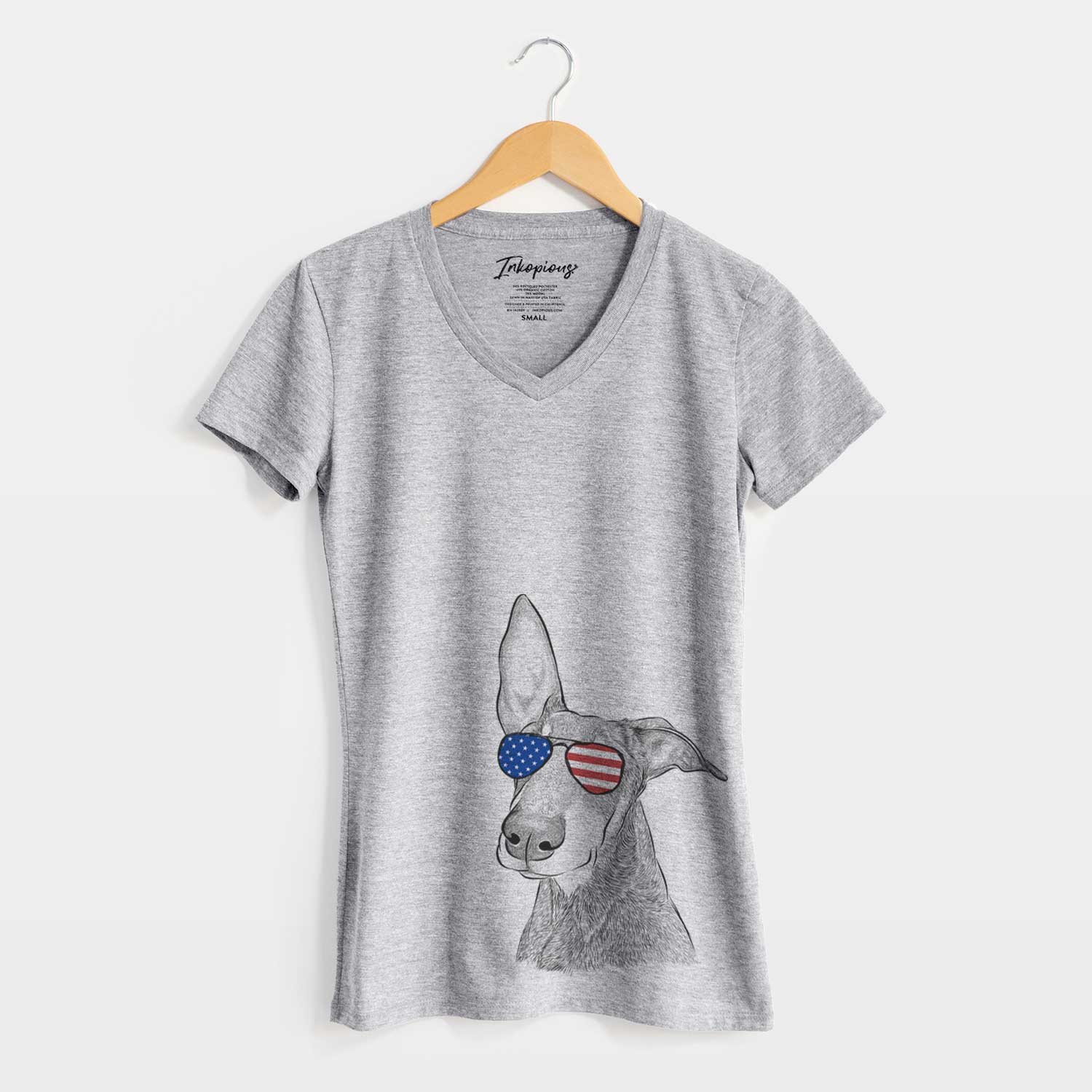 USA Kain the Doberman Pinscher - Women's Perfect V-neck Shirt