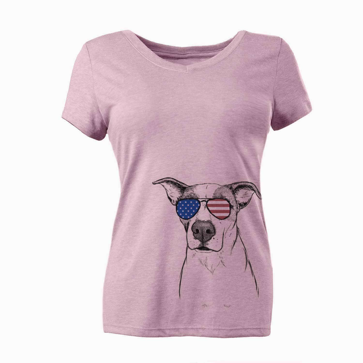 USA Lily the Mixed Breed - Women's Perfect V-neck Shirt