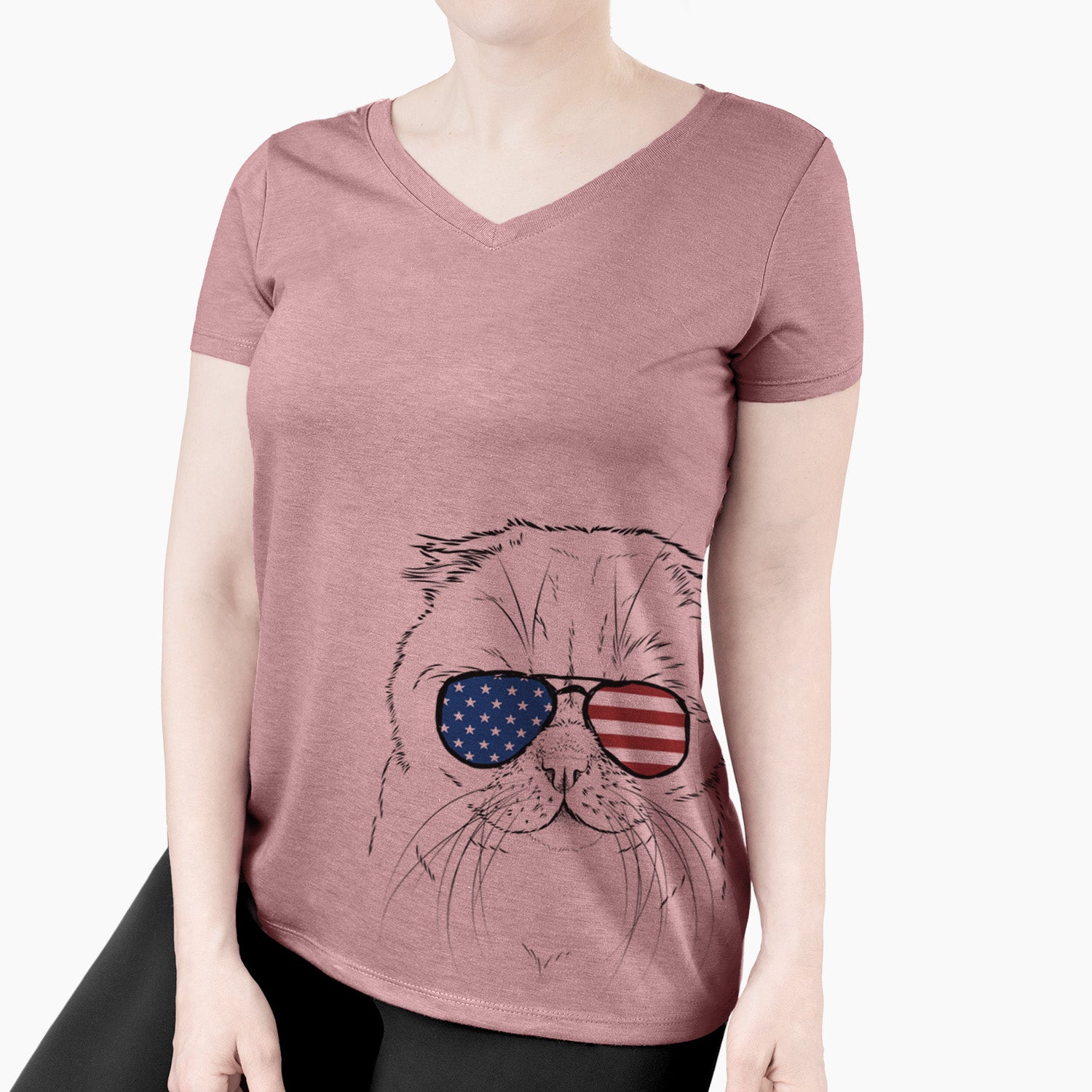 USA Lina the Exotic Fold Cat - Women's Perfect V-neck Shirt