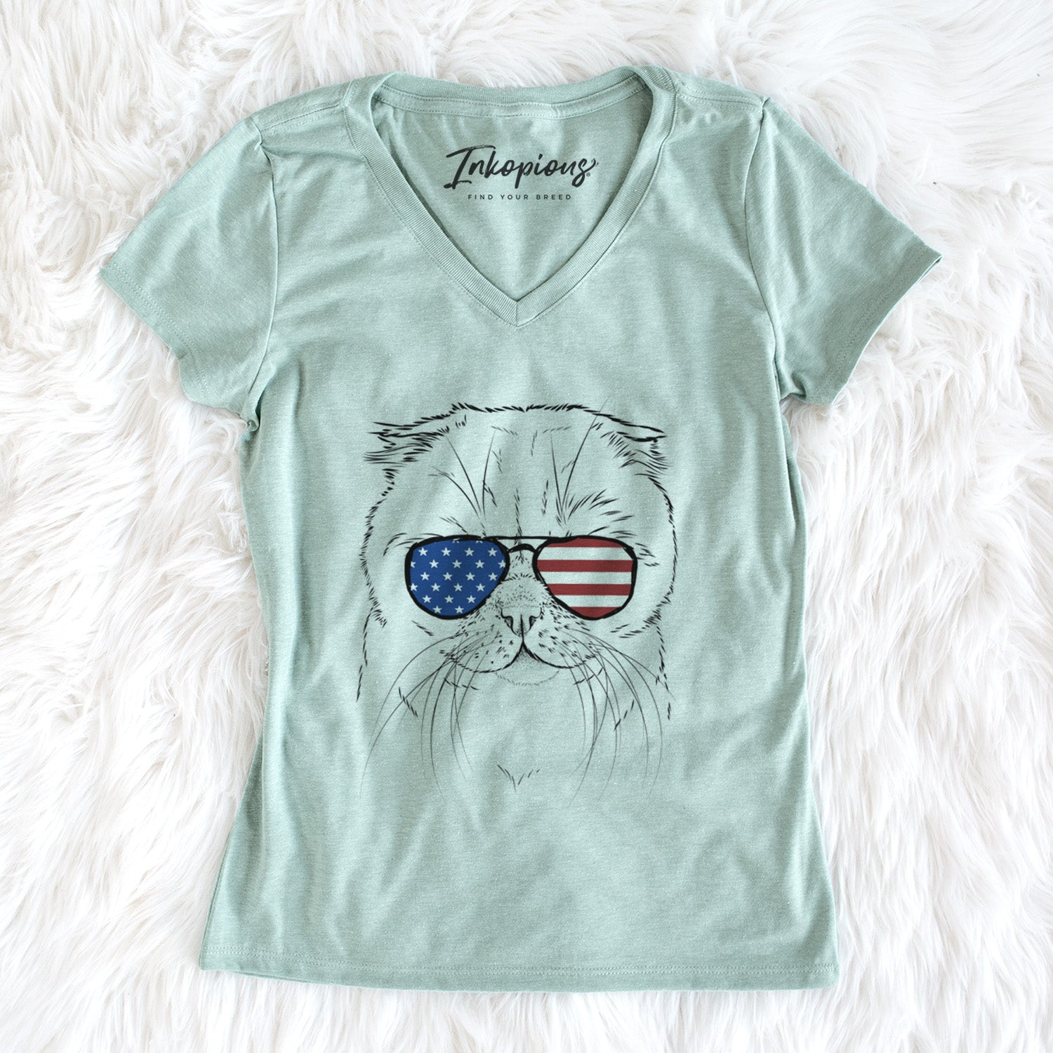 USA Lina the Exotic Fold Cat - Women's Perfect V-neck Shirt