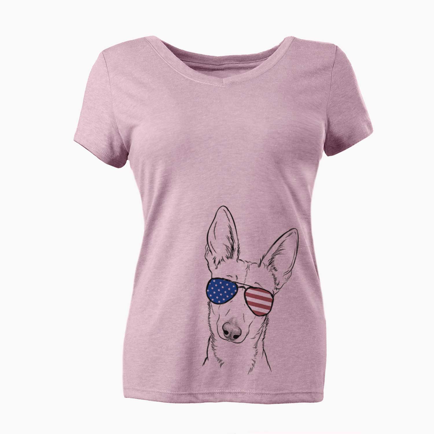 USA Nala the Carolina Dog - Women's Perfect V-neck Shirt
