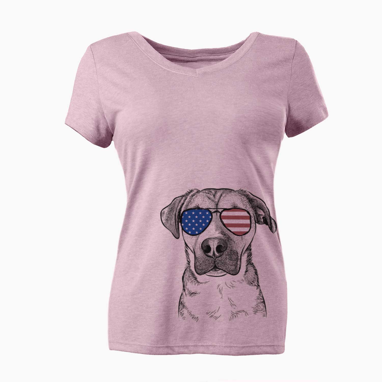 USA Nemo the Mixed Breed - Women's Perfect V-neck Shirt