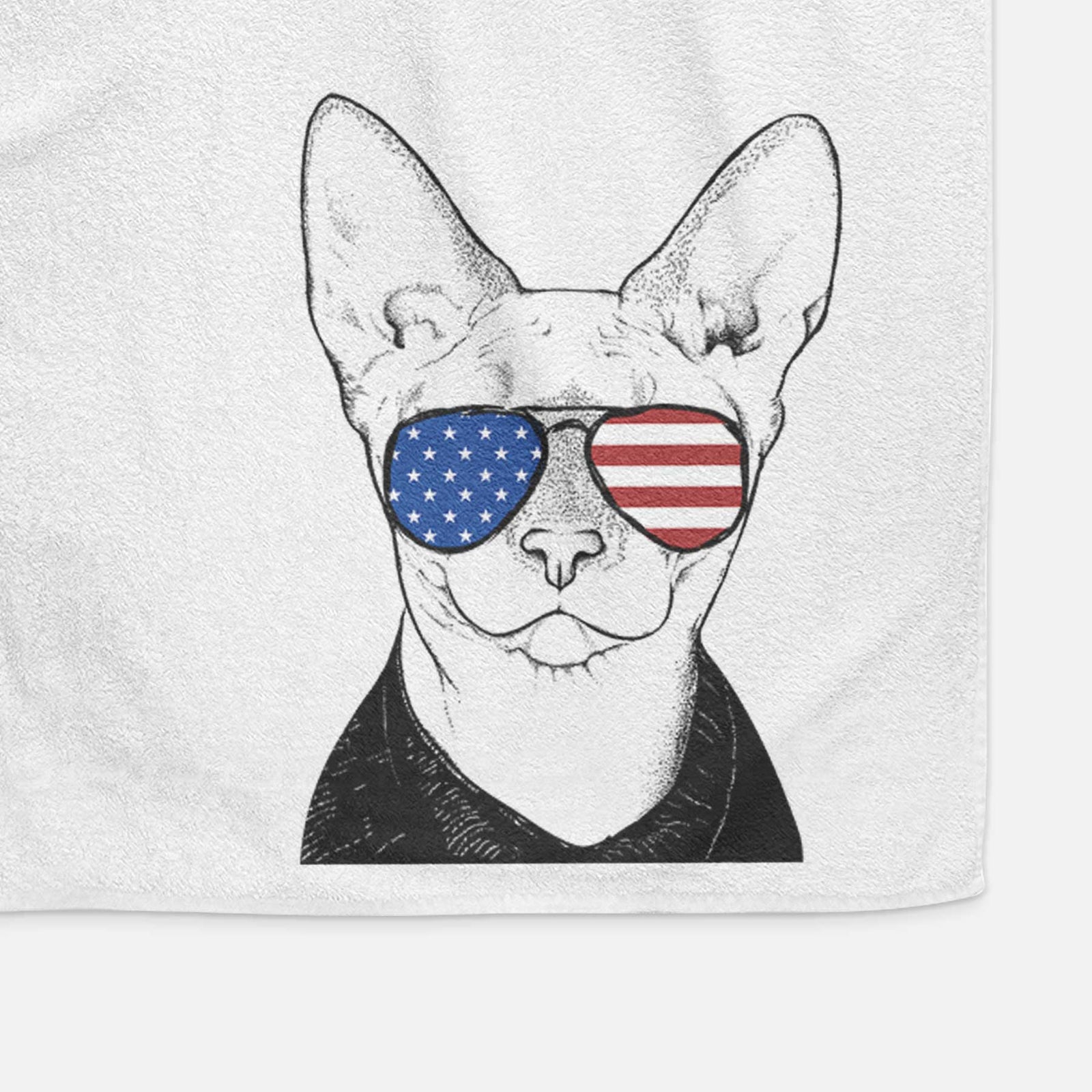 Oliver Watson the Sphynx Cat Decorative Hand Towel