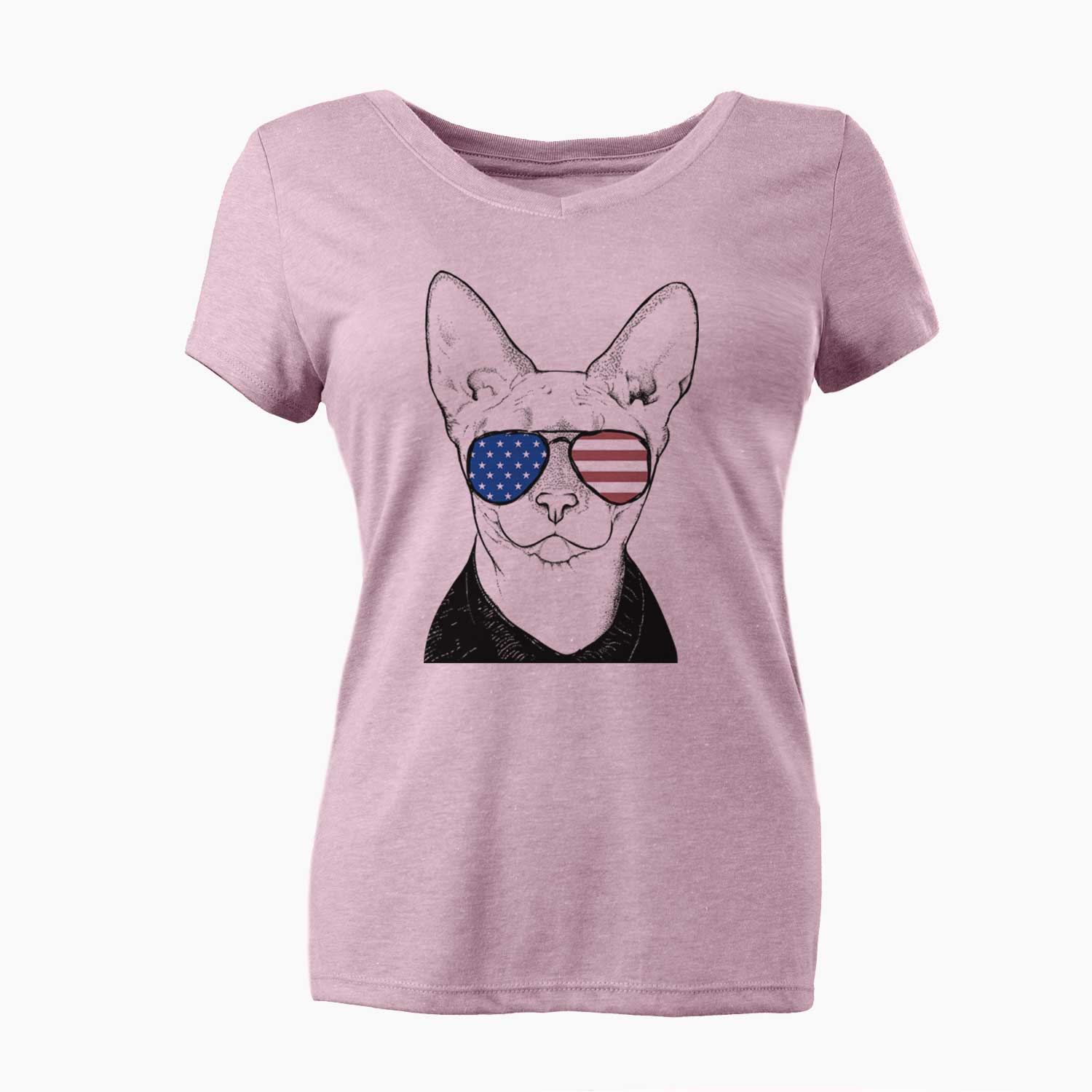 USA Oliver Watson the Sphynx Cat - Women's Perfect V-neck Shirt