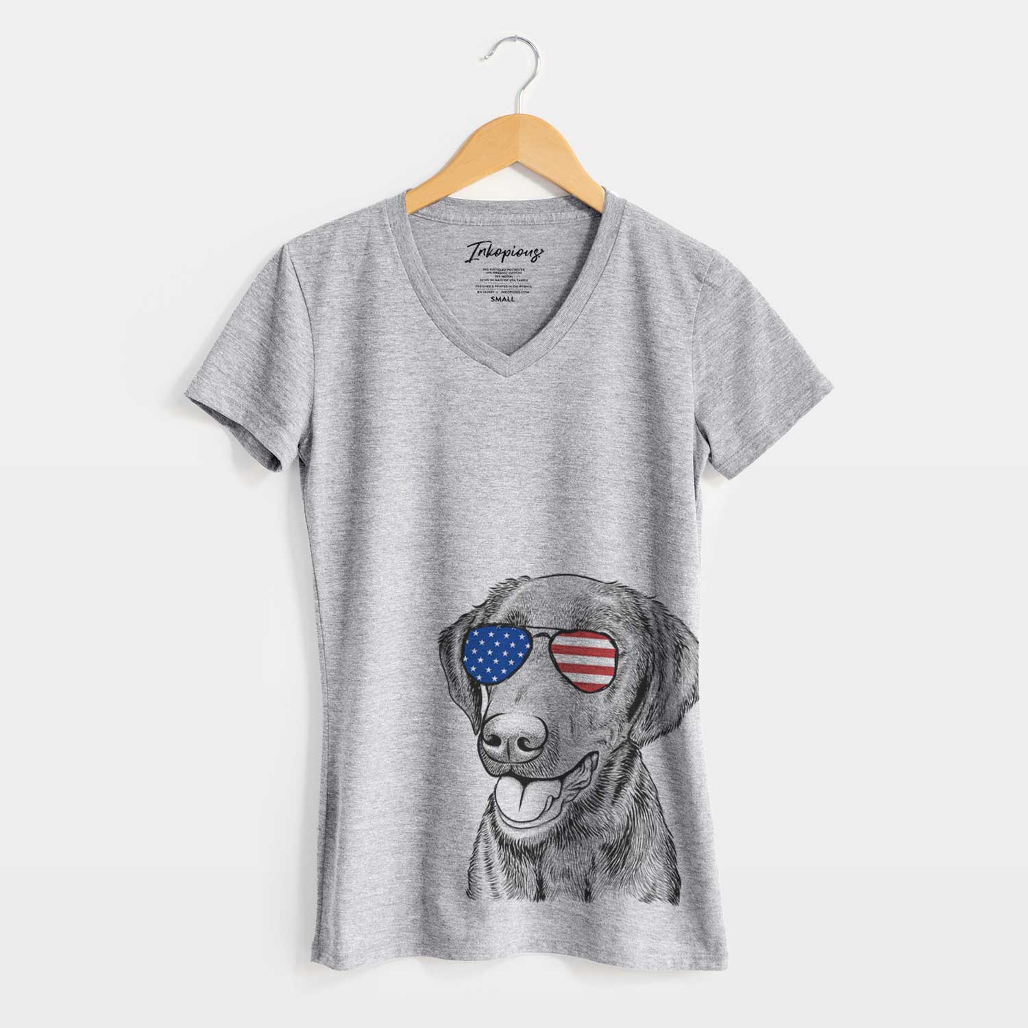 USA Onyx the Labrador Retriever - Women's Perfect V-neck Shirt