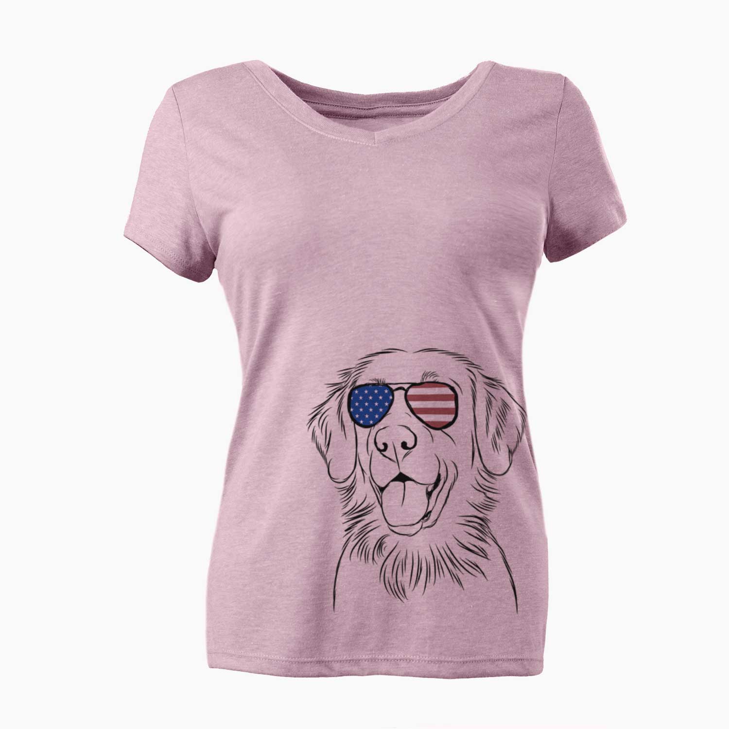 USA Raisin the Flat Coated Retriever - Women's Perfect V-neck Shirt