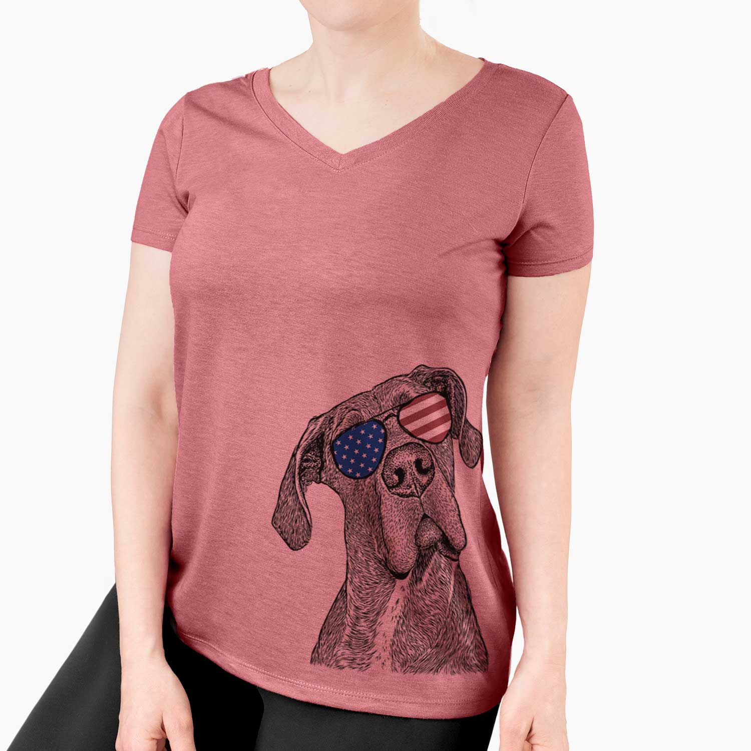 USA River the Great Dane - Women's Perfect V-neck Shirt